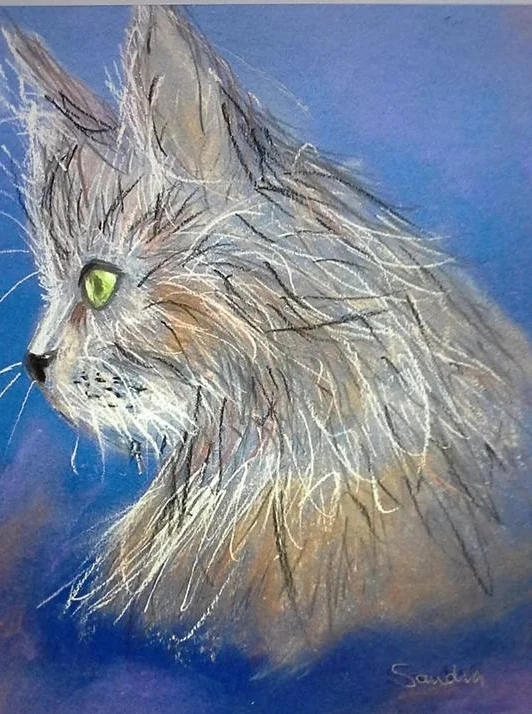 Cat in Pastel.