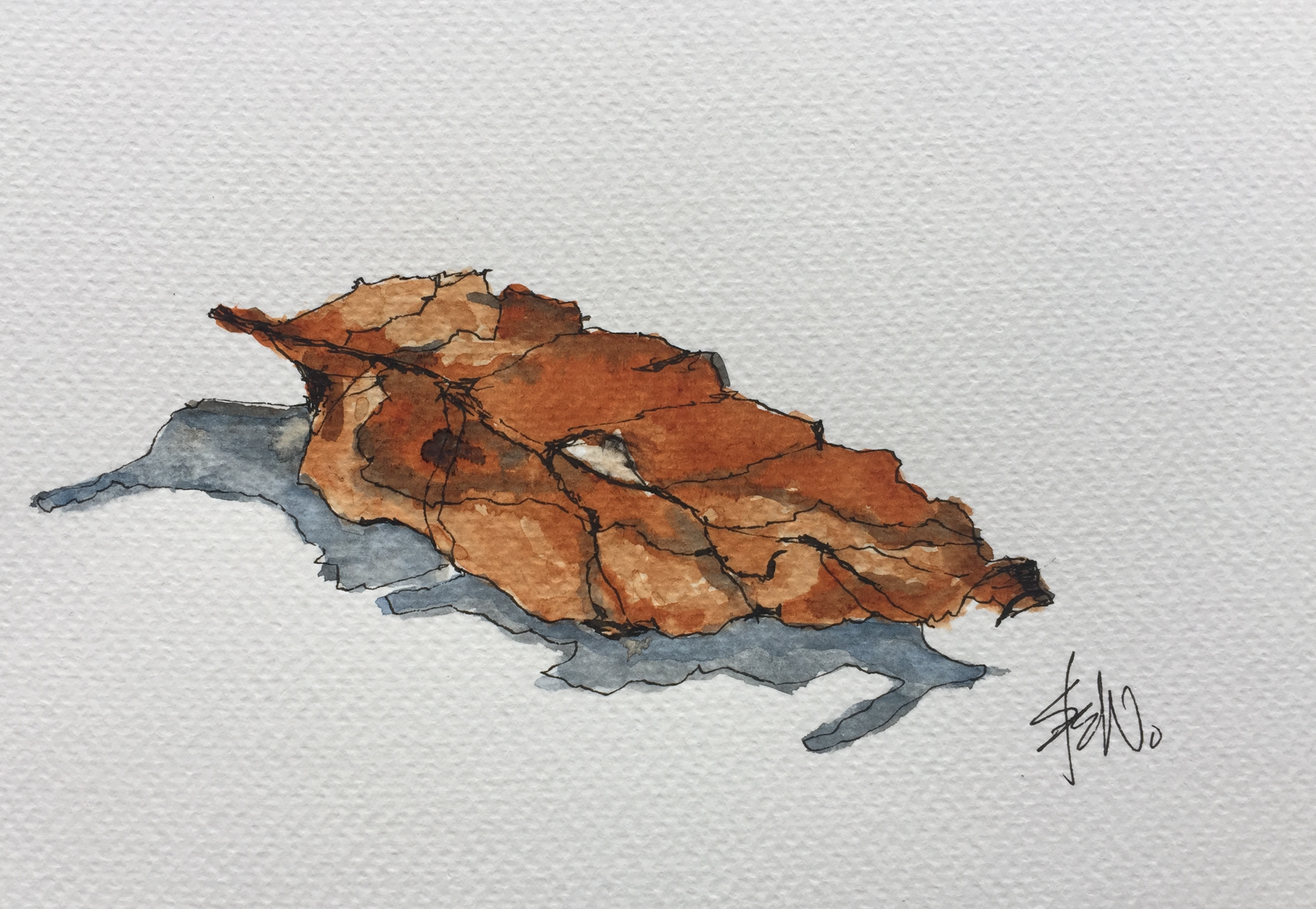 Autumn leaf - Pen and wash.