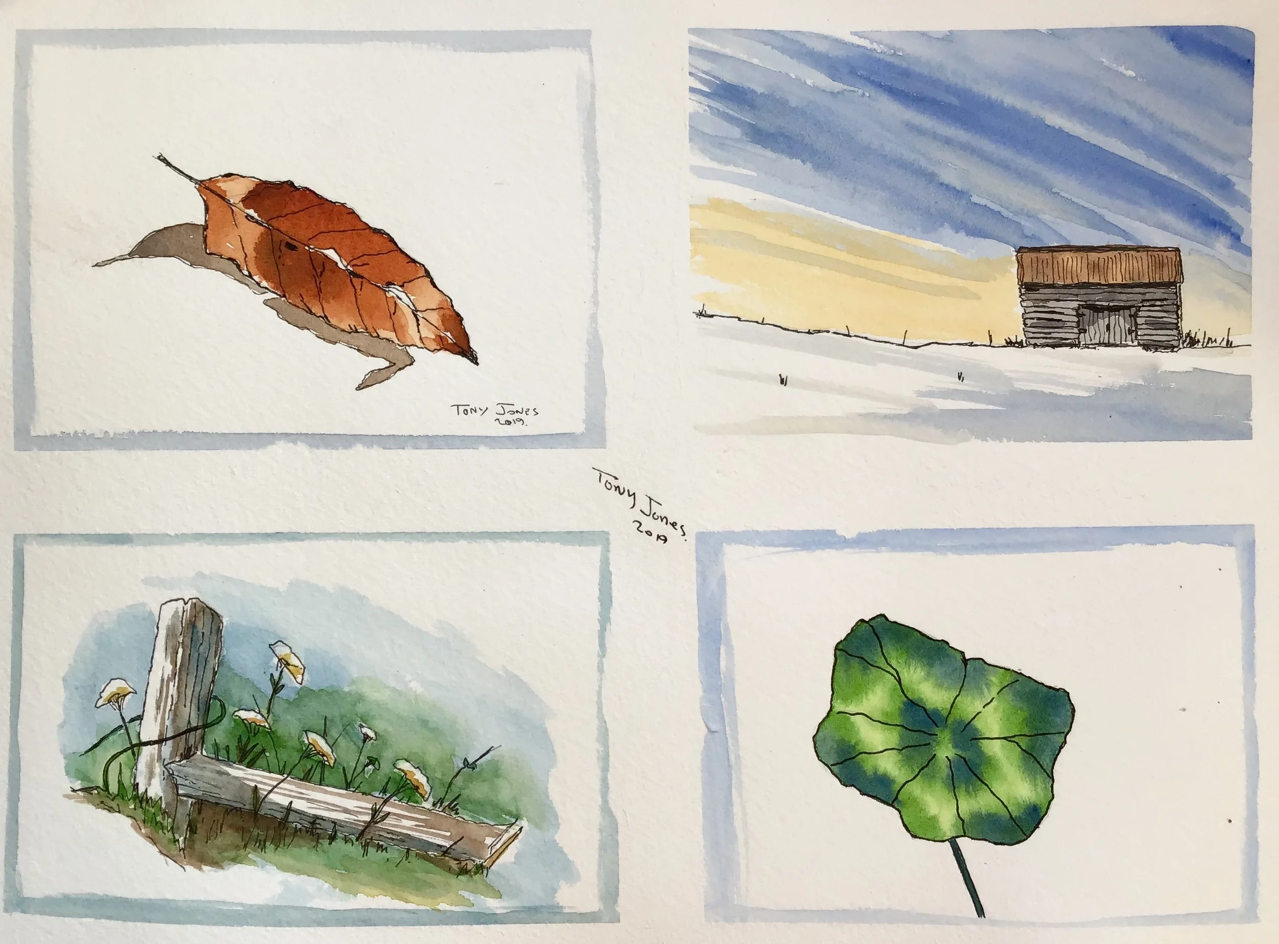 Demo collection - Pen and Wash.