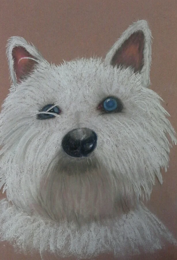 Dog in Pastels.