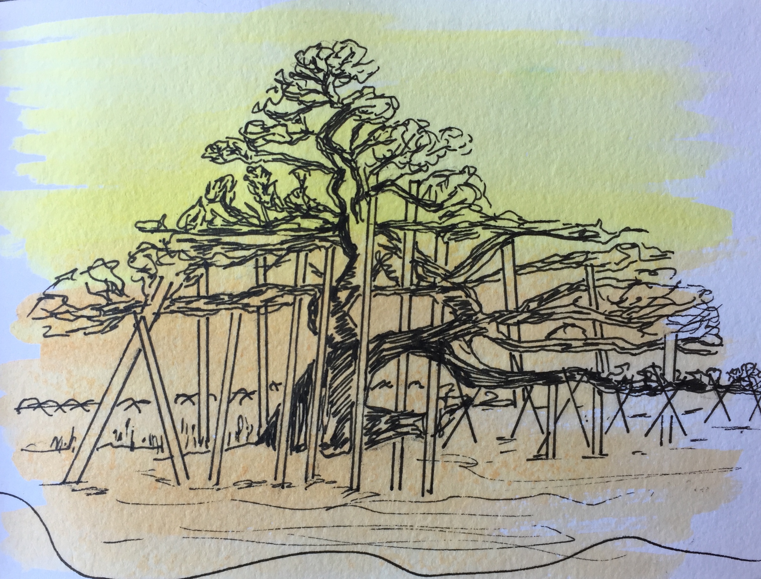 Kenroku-en garden - pen and wash.