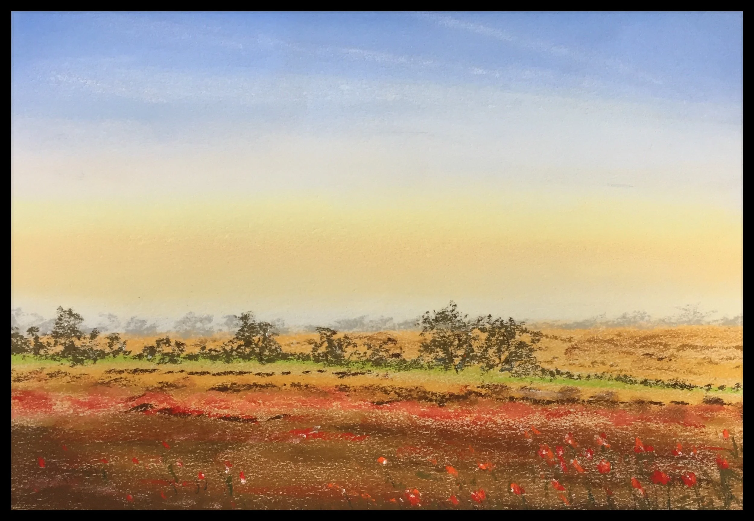 Poppy field- Pastels.