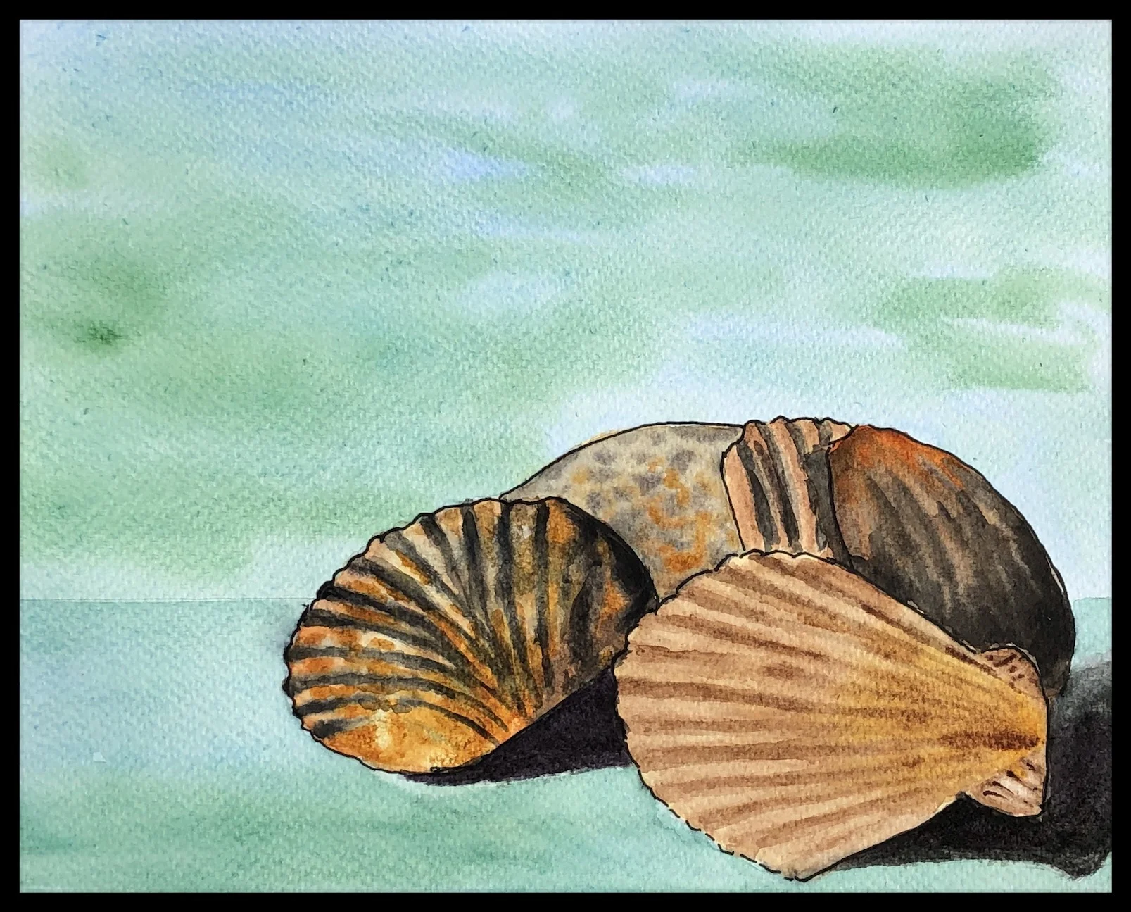Lightbox shells - Watercolour and pen.