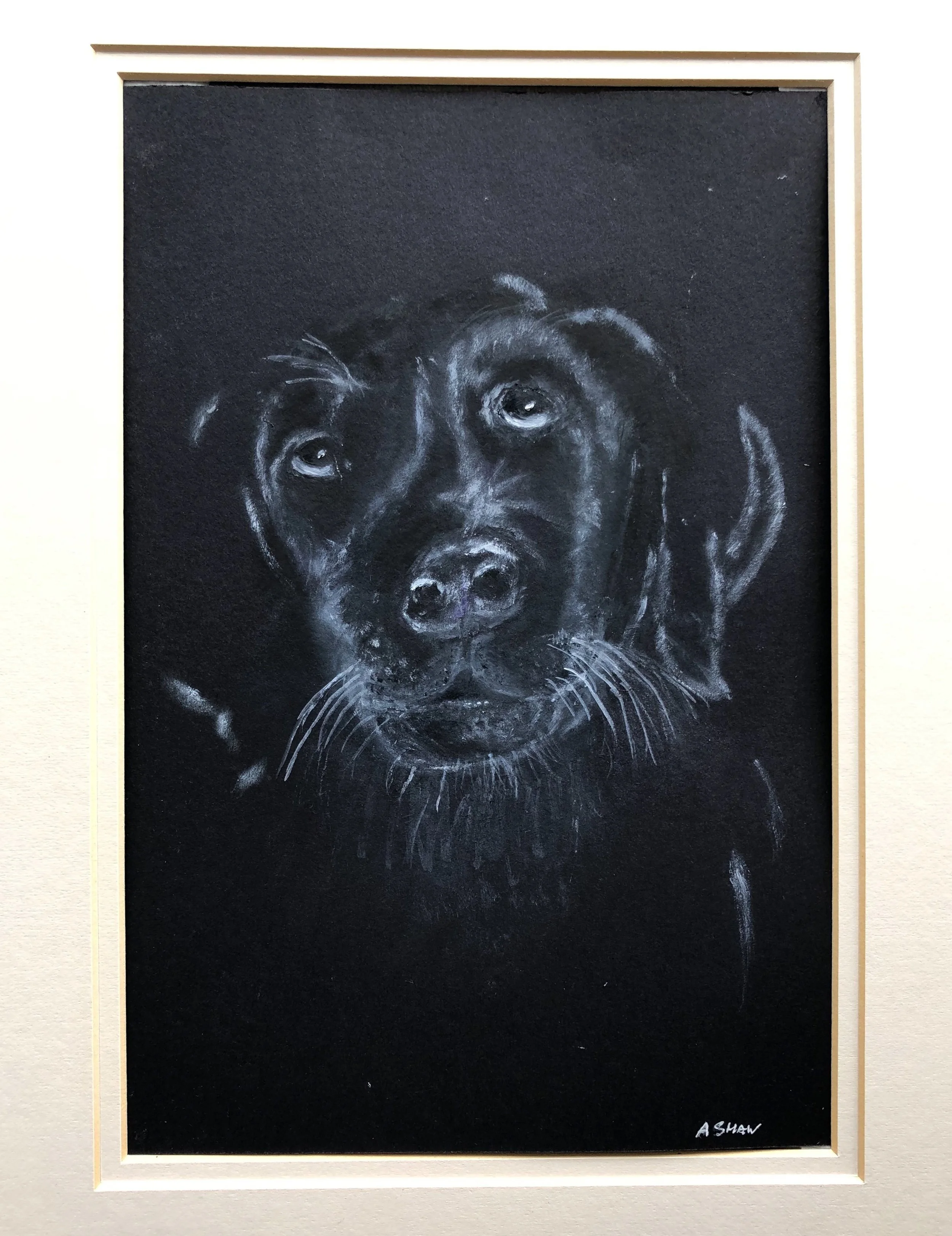 Anns dog - pastel pen.