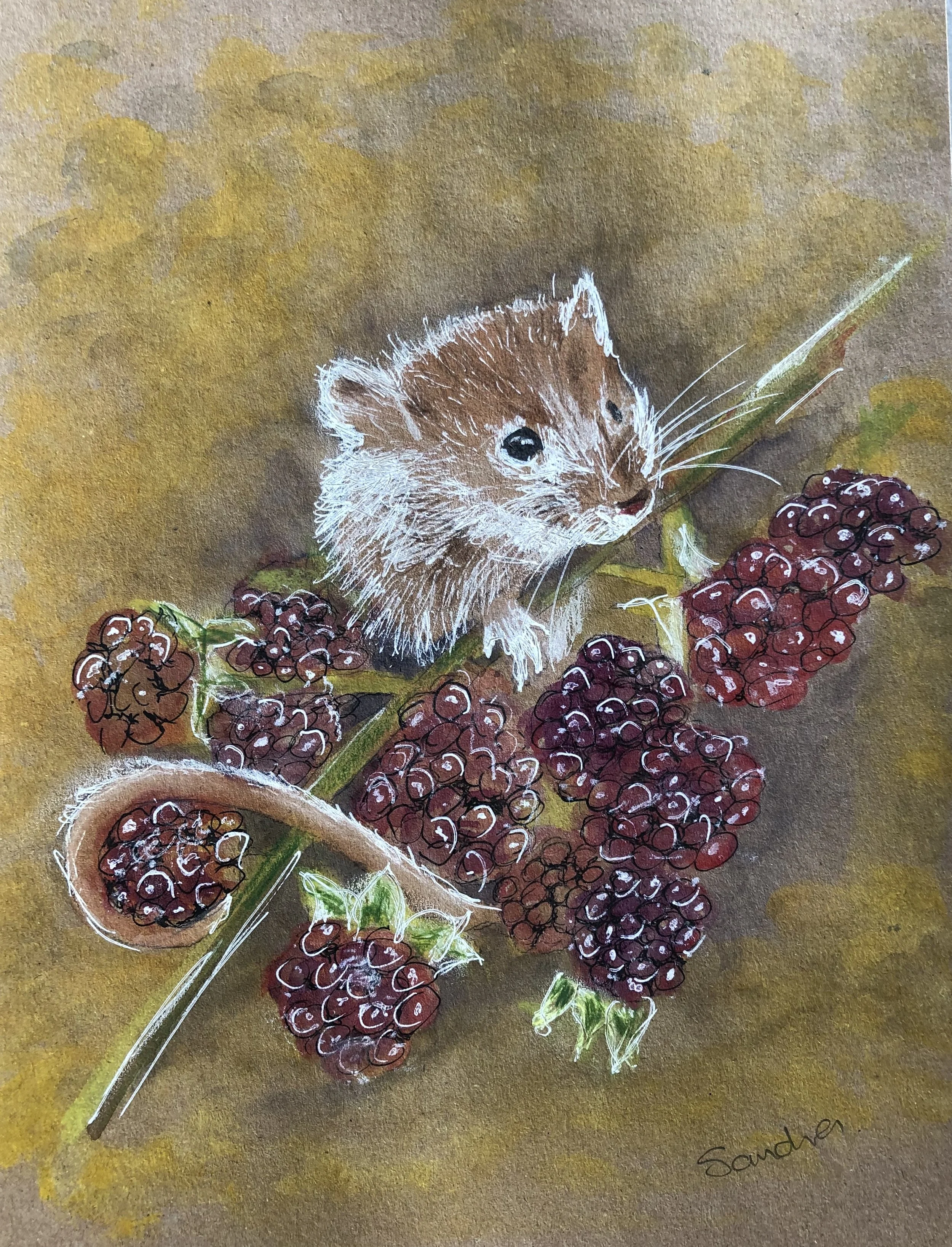 Doormouse - Watercolour and pen.