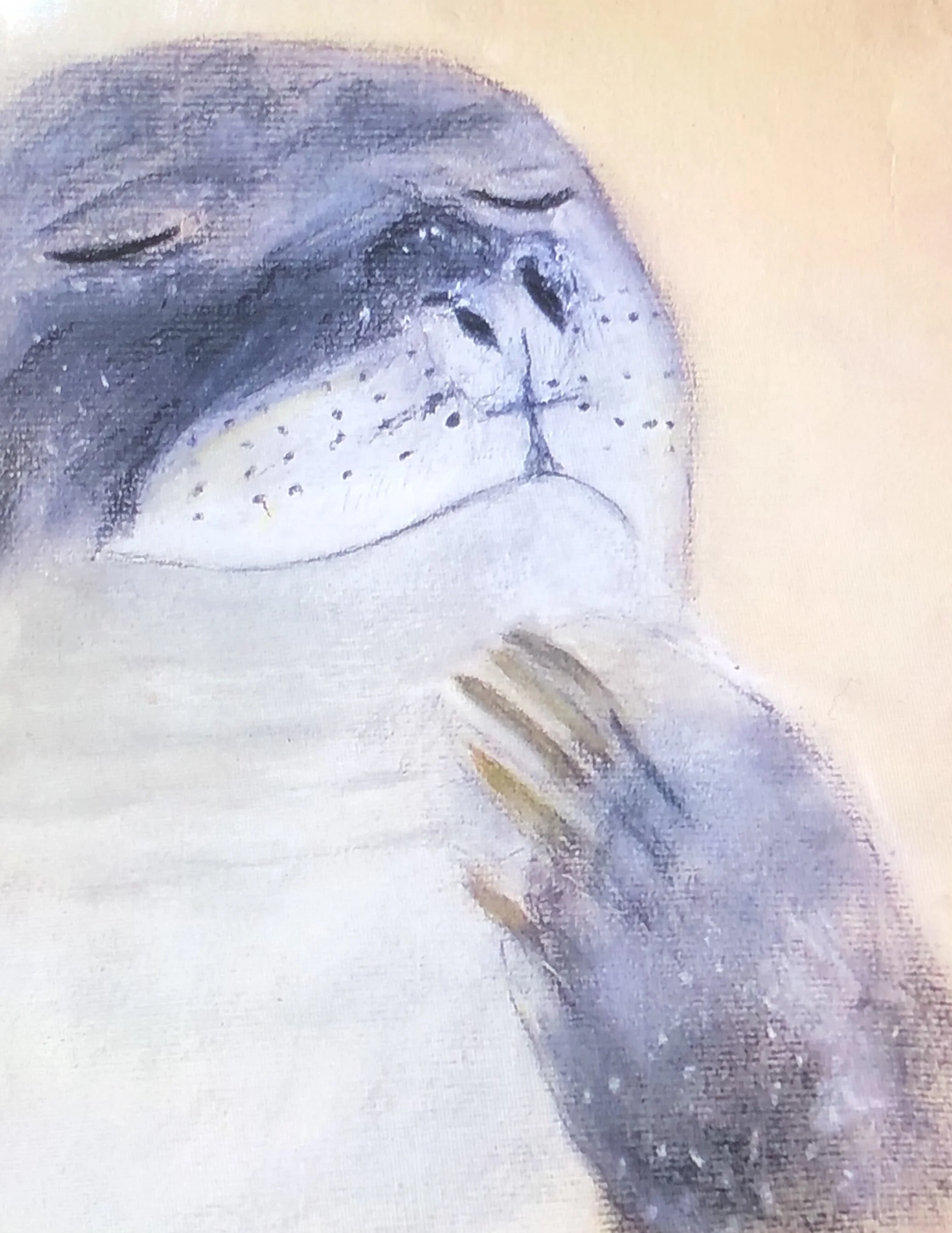 Sea lion - Watercolour.