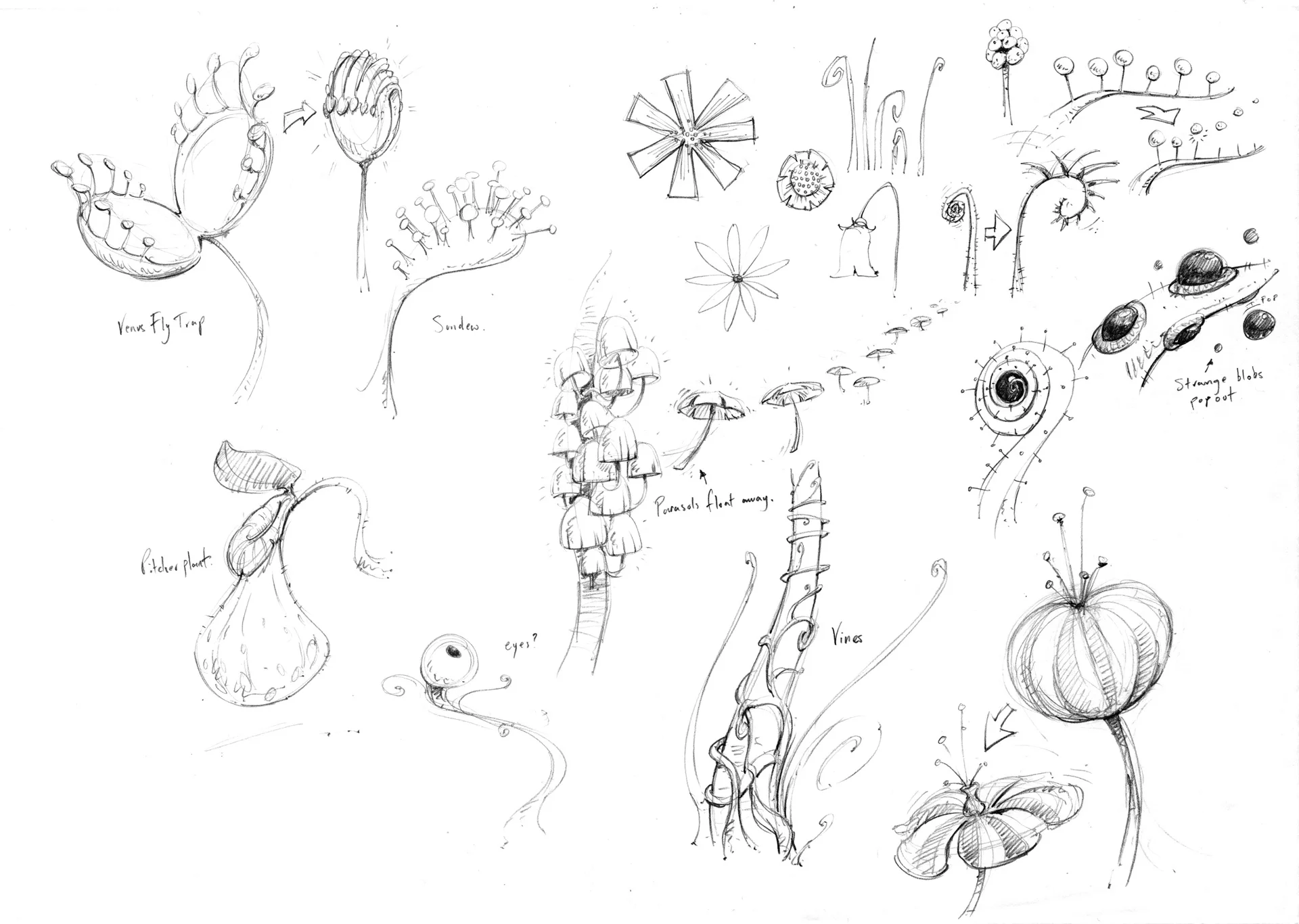 Plants_001.jpg