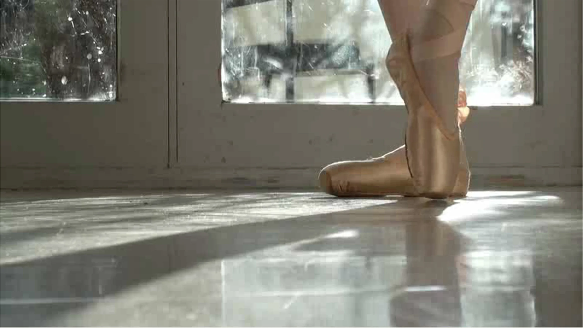 Intimacy & Trust video webpage cropped.jpg