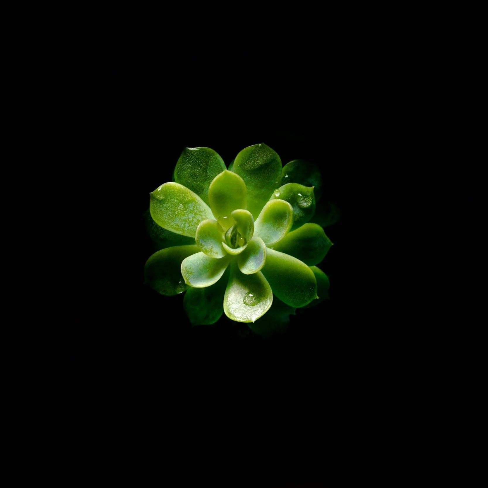 image-asset.jpg