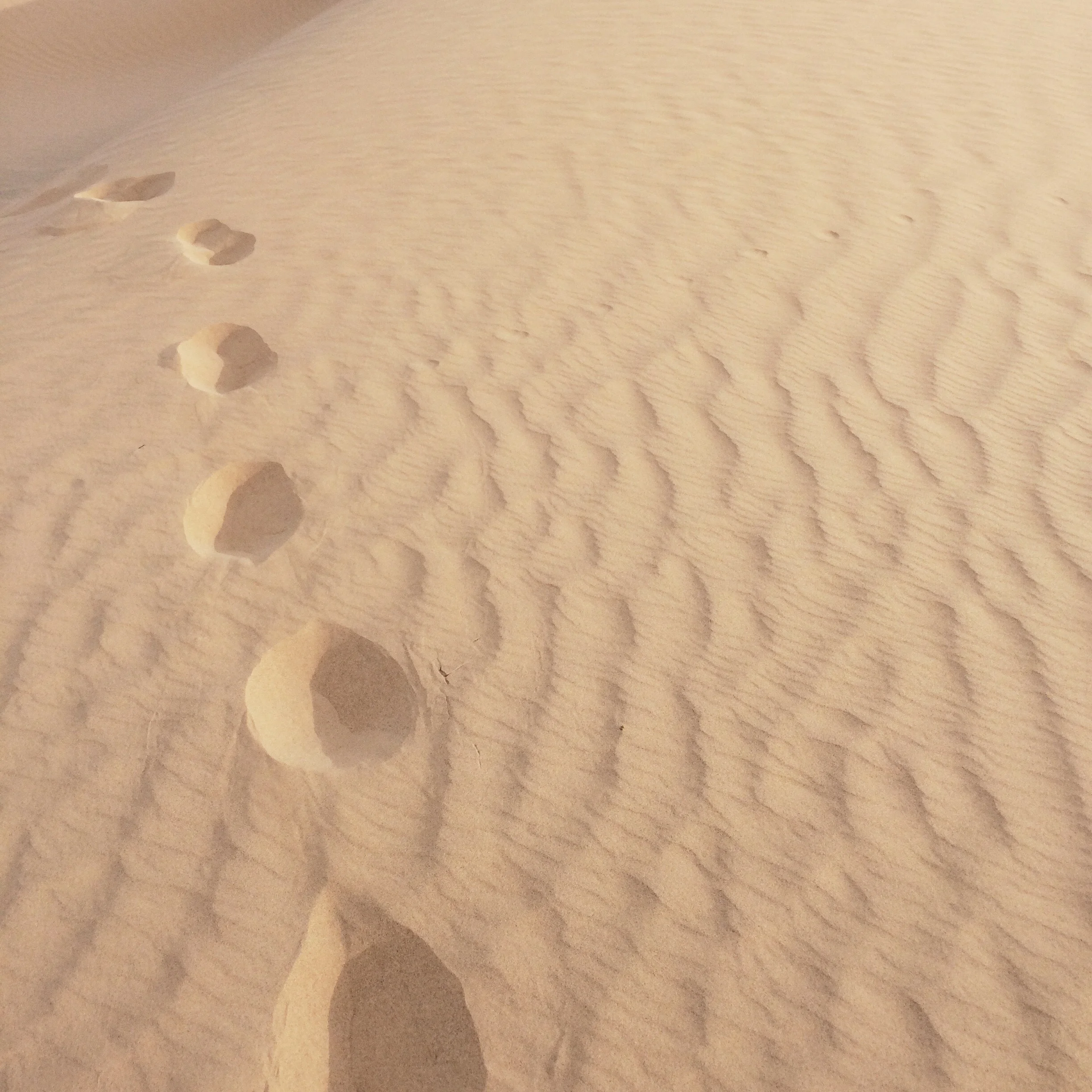 I take to the open road 