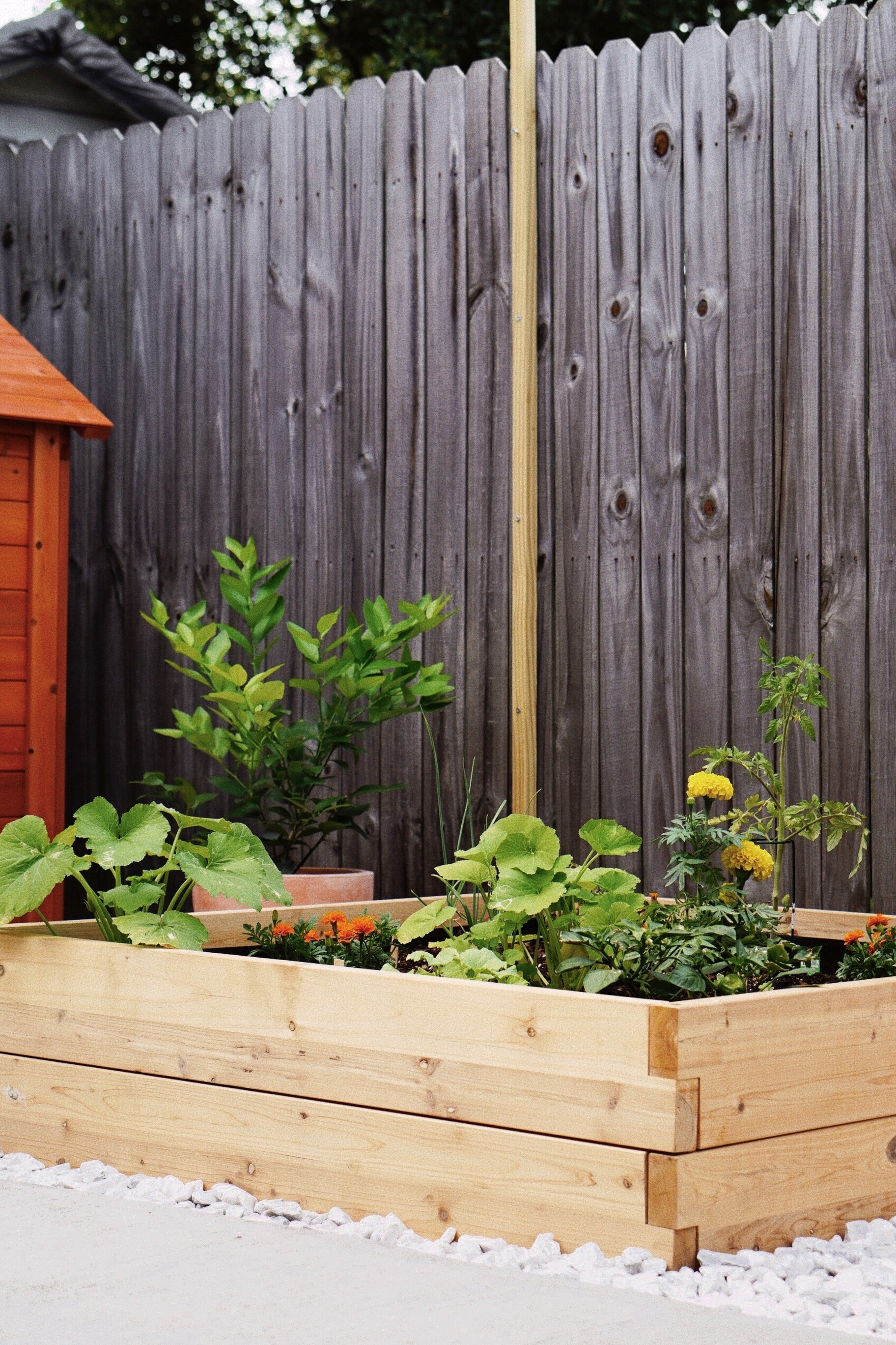   Rhino Garden Supply - Cedar Raised Garden Bed  