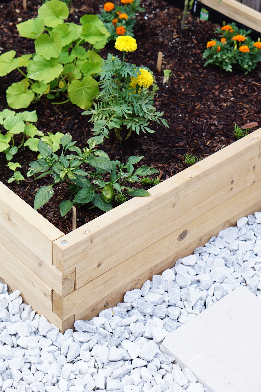   Rhino Garden Supply - Cedar Raised Garden Bed    