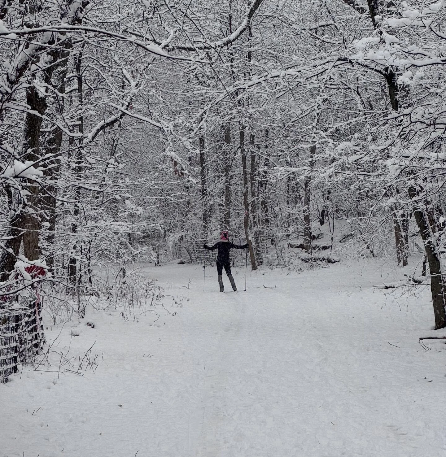 ❄️ ❄️ ❄️ ❄️ ❄️ ❄️ ❄️ ❄️ ❄️ ❄️

For over 20 years, I&rsquo;ve been skiing Brooklyn streets and Prospect Park, always with a huge smile on my face, connecting with neighbors and total strangers alike.

No one is on their phone and everyone has a true j