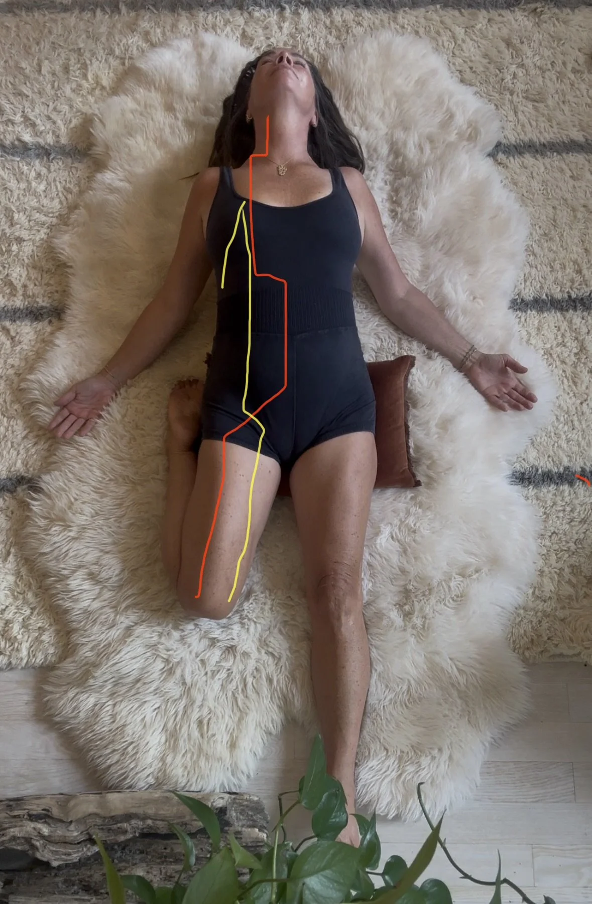 YIN &amp; SKIN:           The Meridian MEthod for Neck and Chest