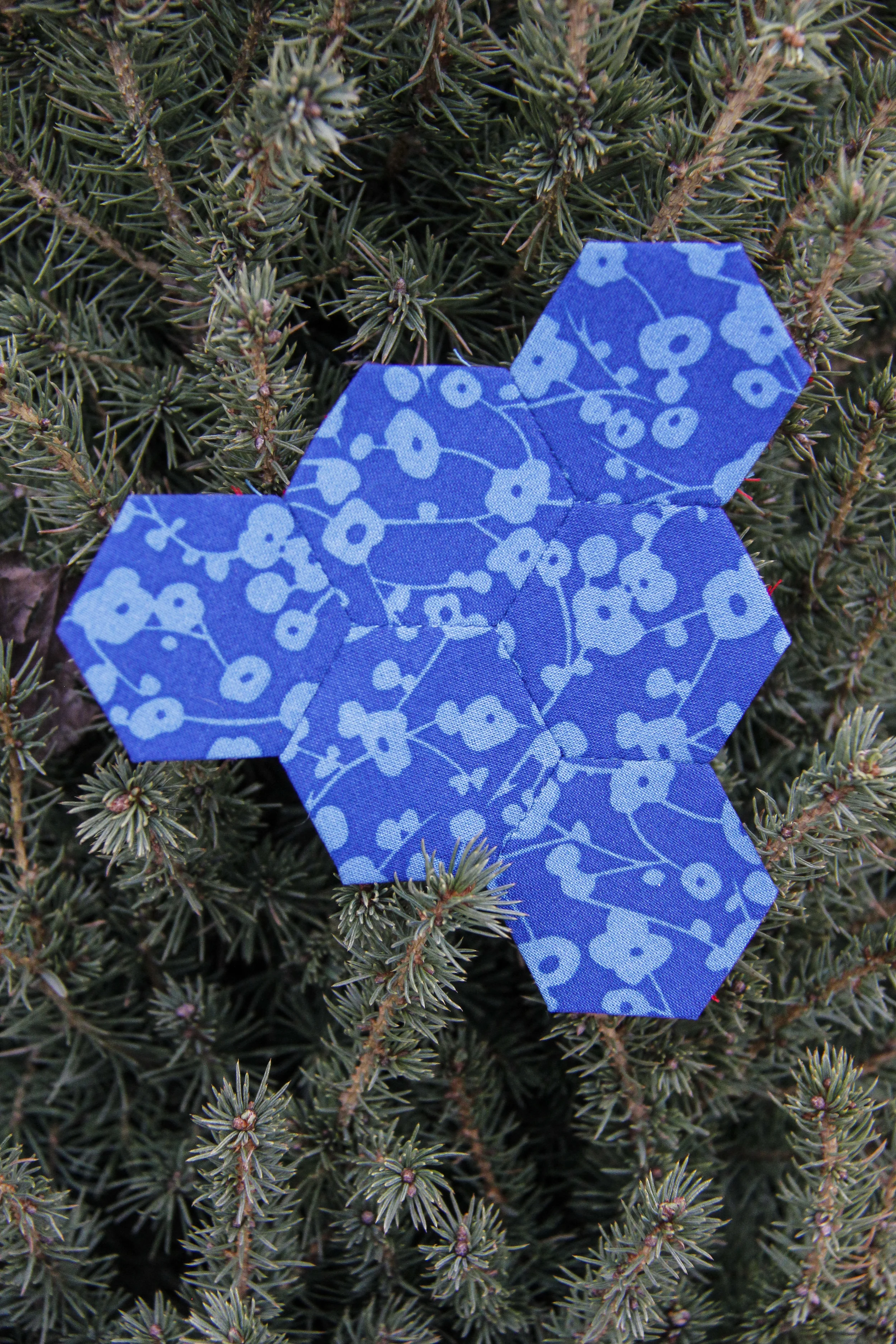 Hexie-7.jpg