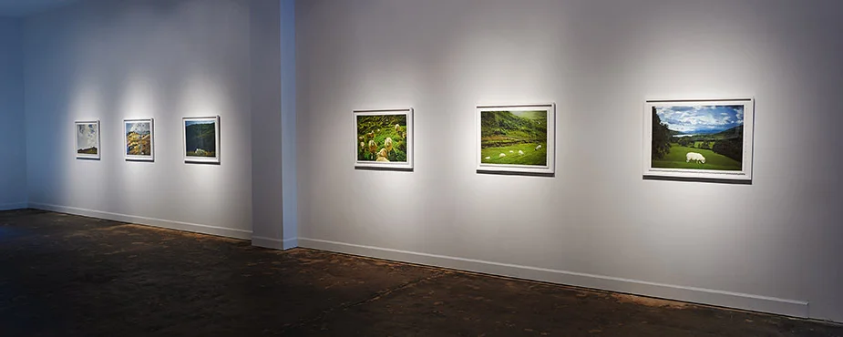 Divine Animals: The Bovidae exhibition at Ecce Gallery in Fargo, ND. 2016.
