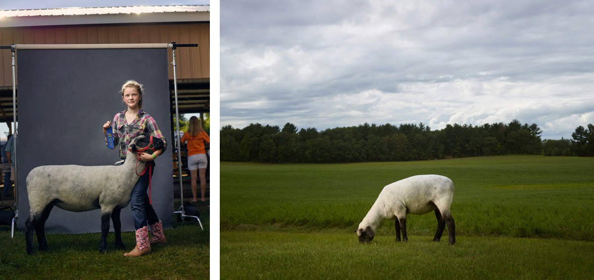 Mable and Stella, Anoka County Fair, Minnesota, 2016