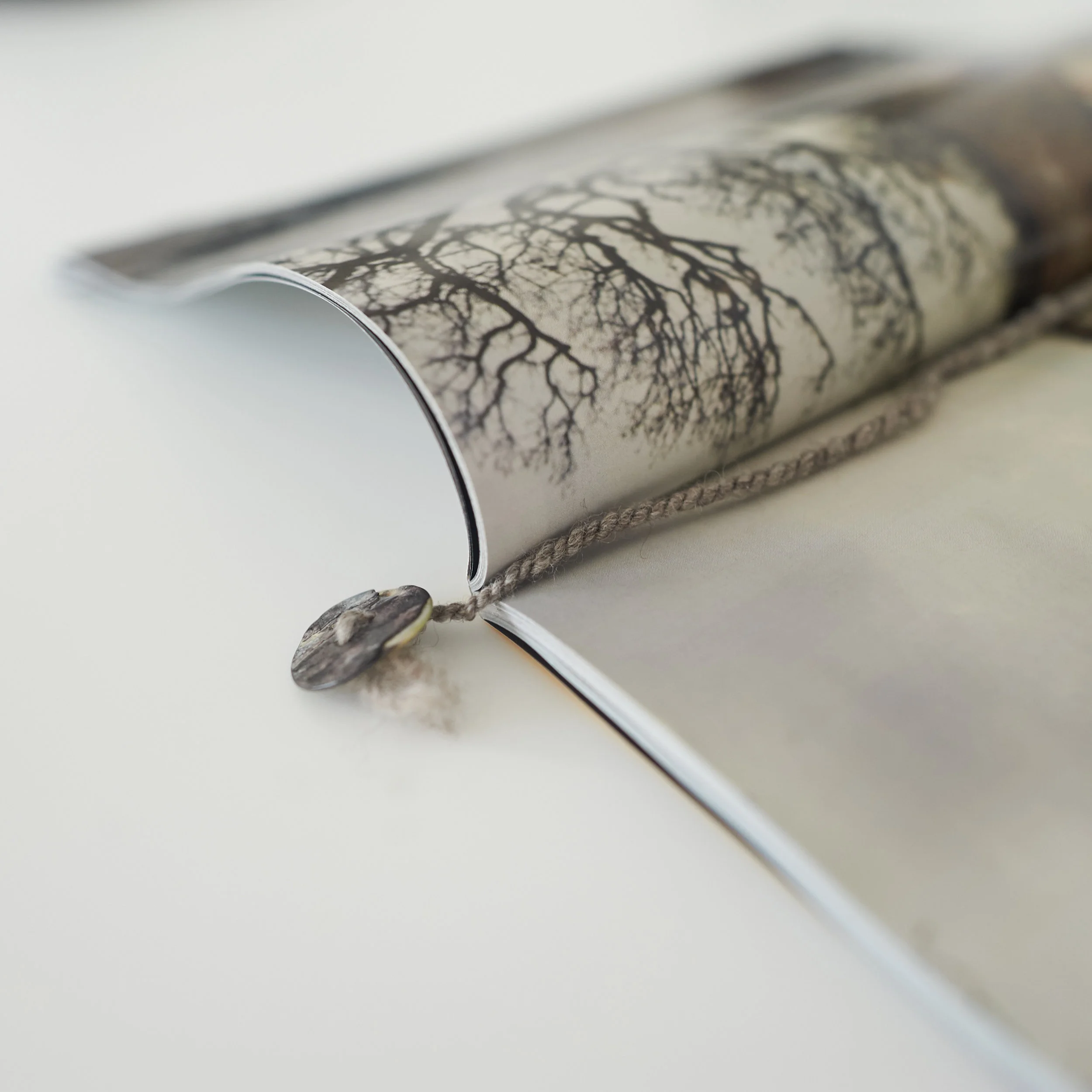 Photo-by-RJ-Kern- 4.jpg