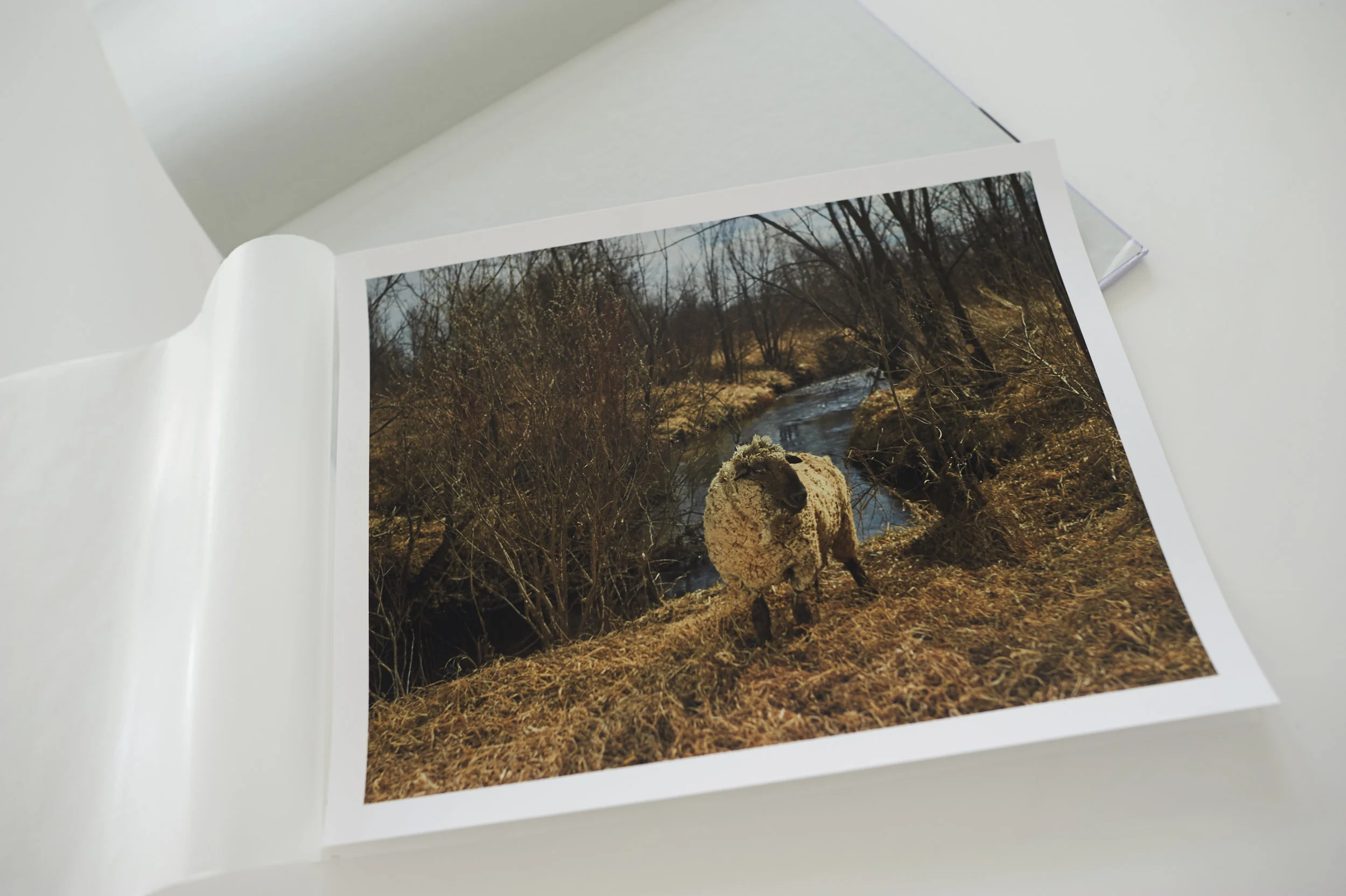 Photo-by-RJ-Kern- 25.jpg