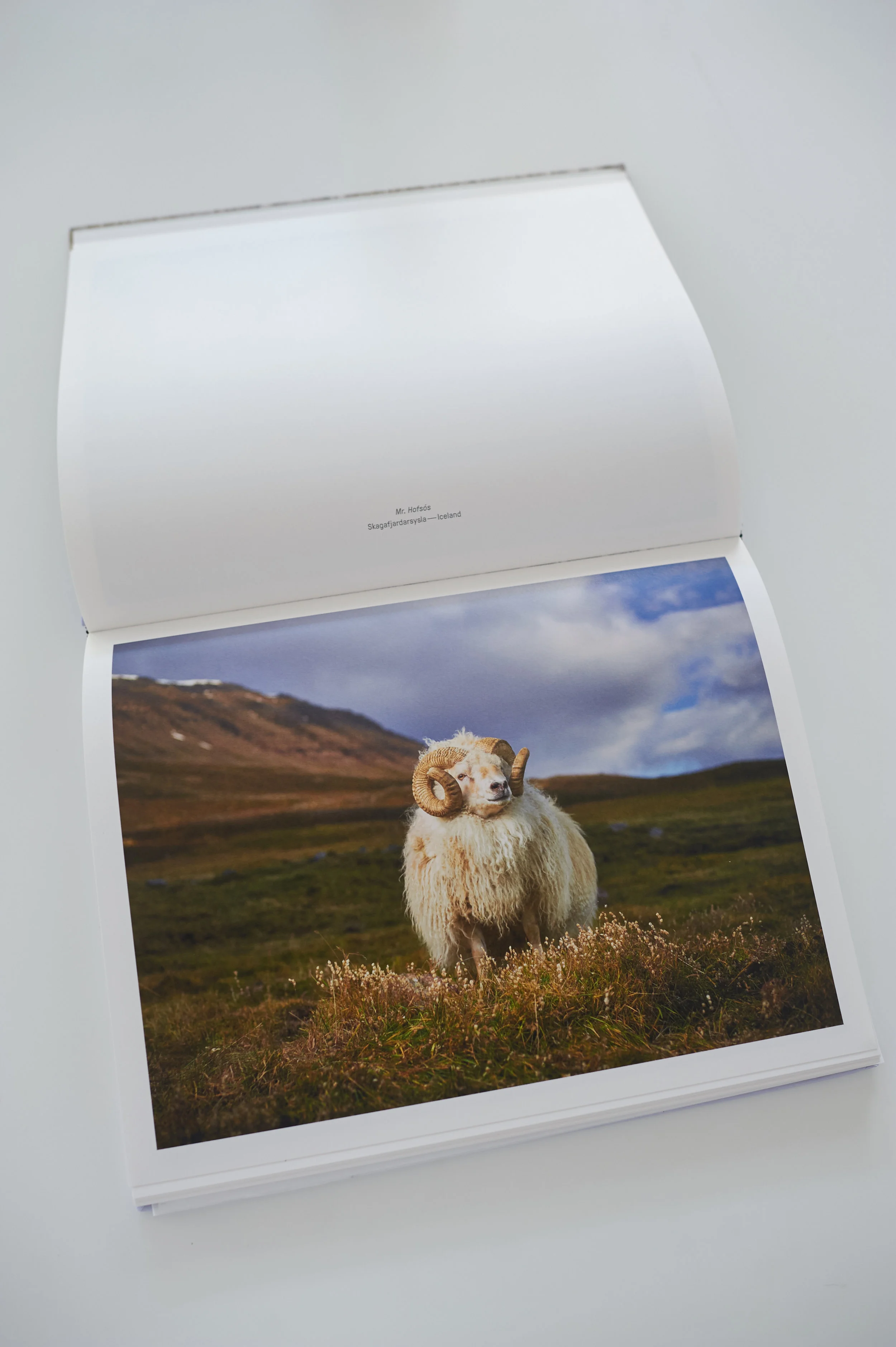 Photo-by-RJ-Kern- 16.jpg