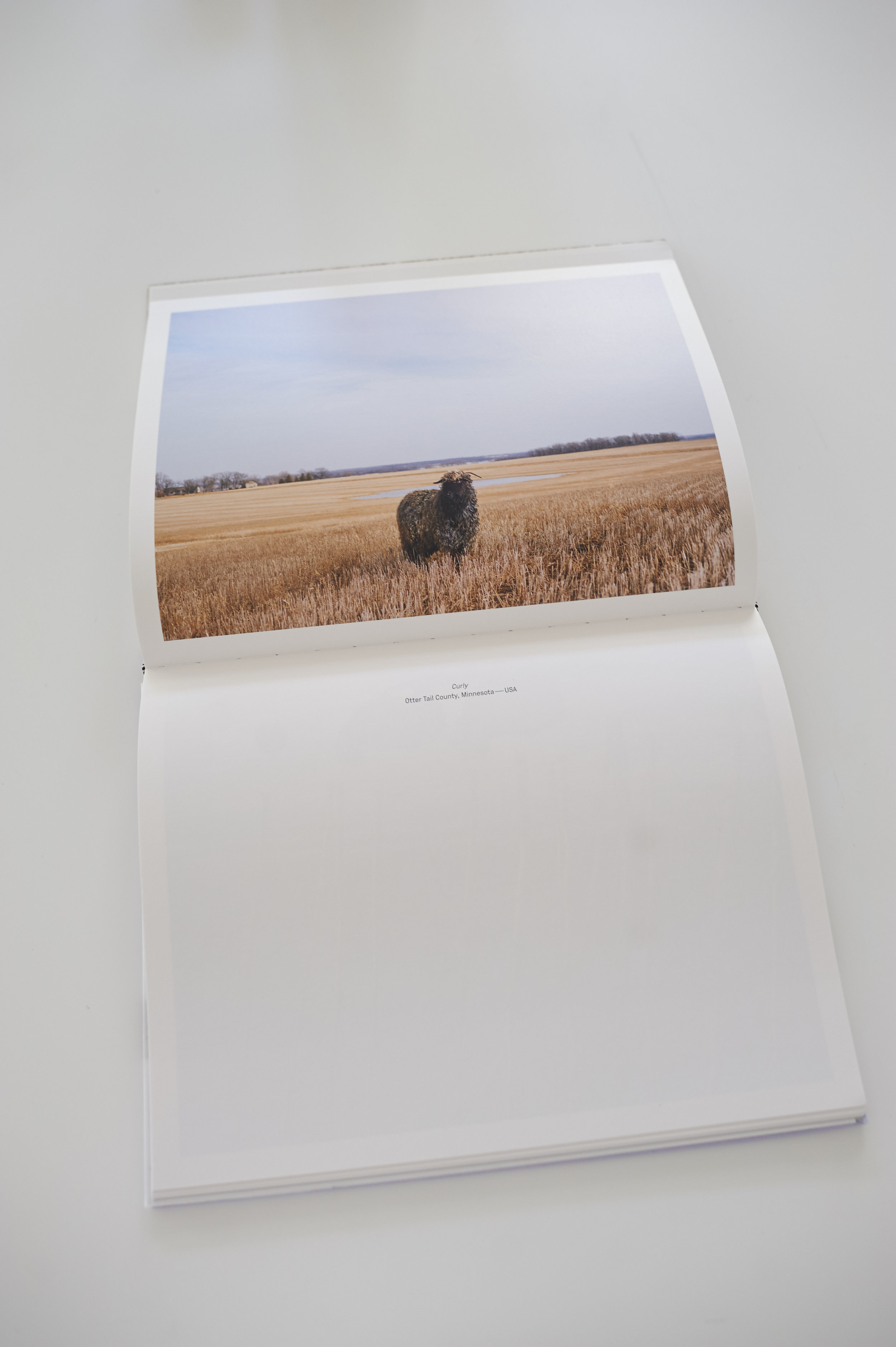 Photo-by-RJ-Kern- 19.jpg