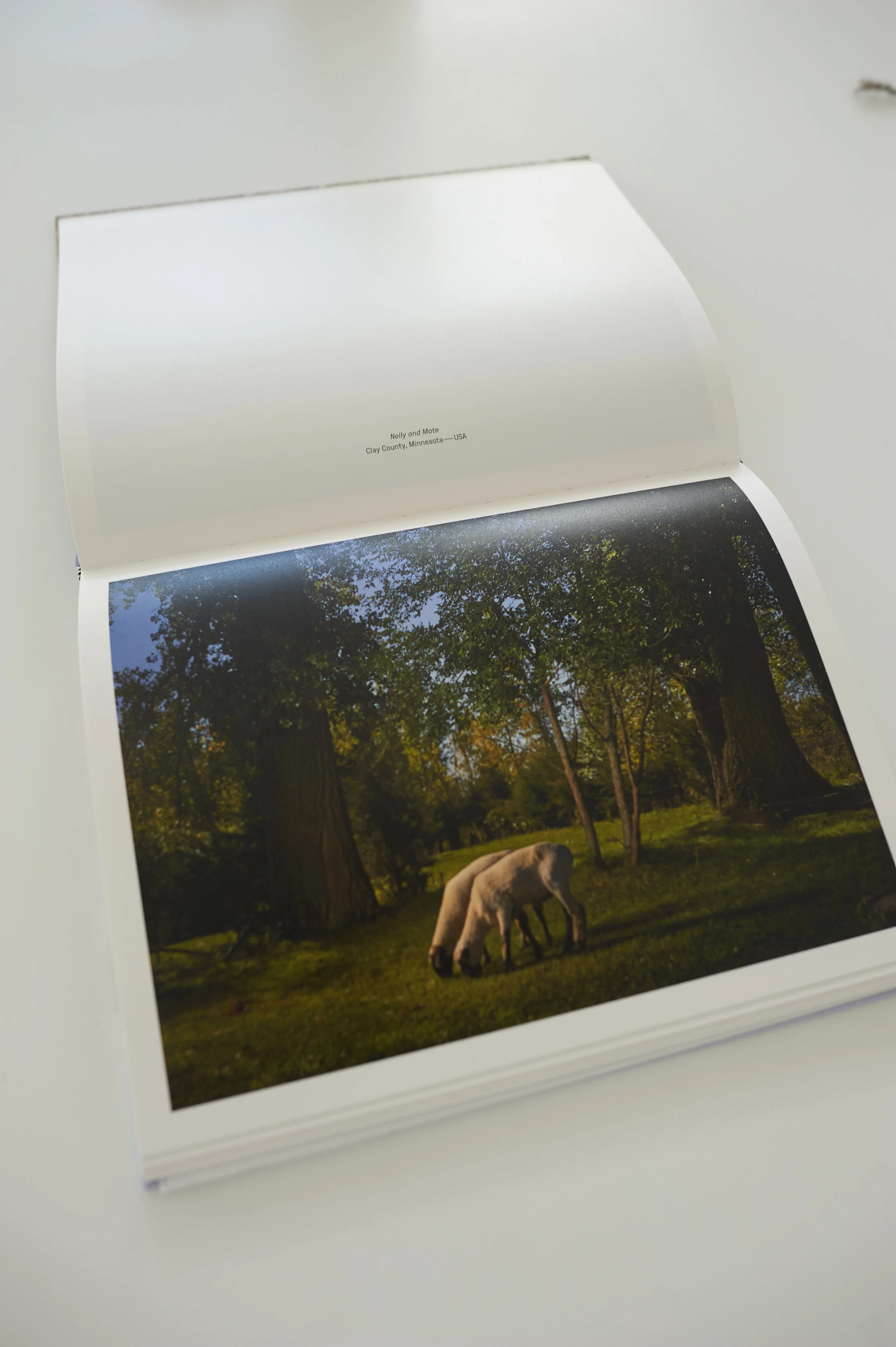 Photo-by-RJ-Kern- 14.jpg