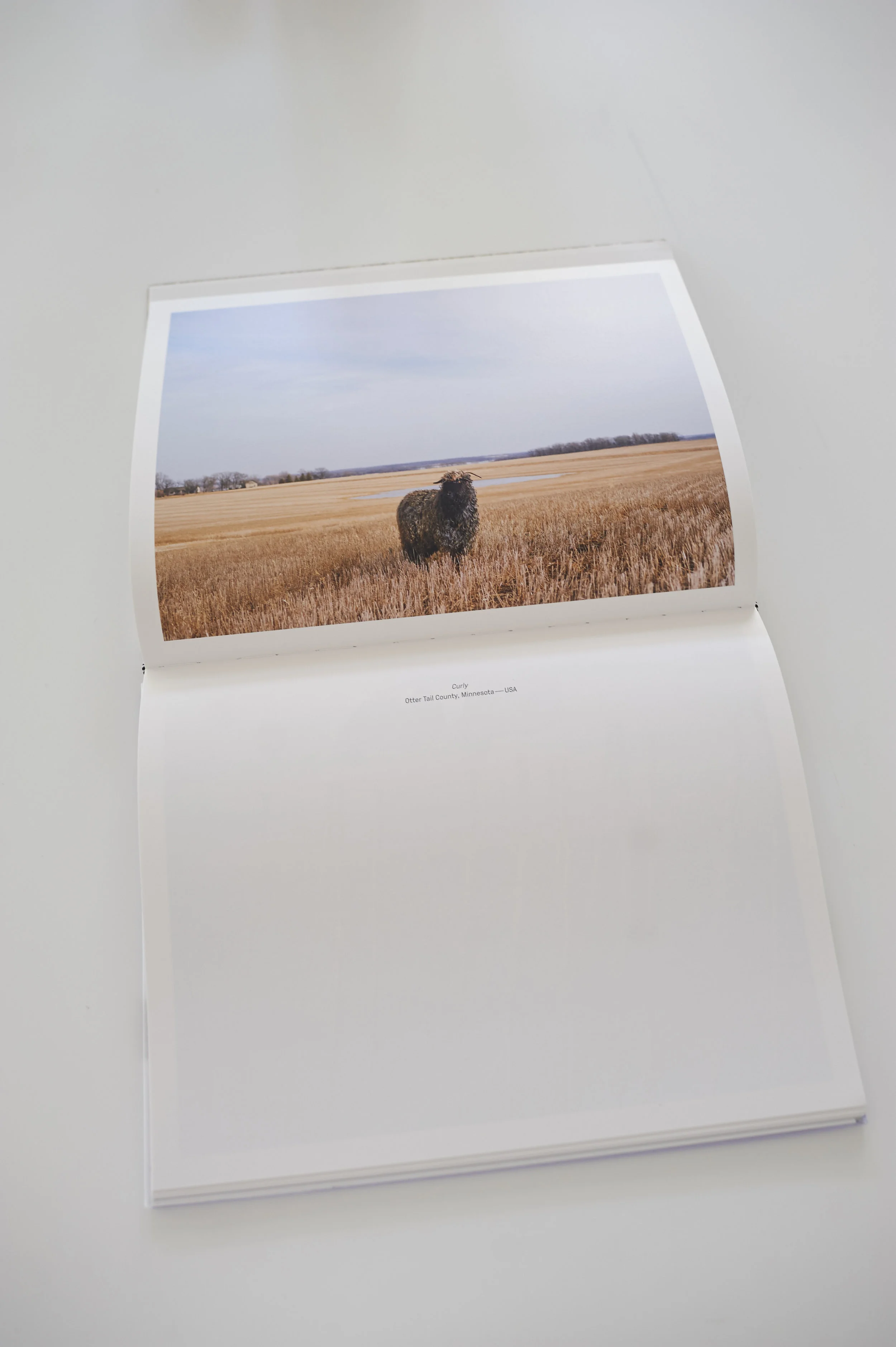 Photo-by-RJ-Kern- 19.jpg