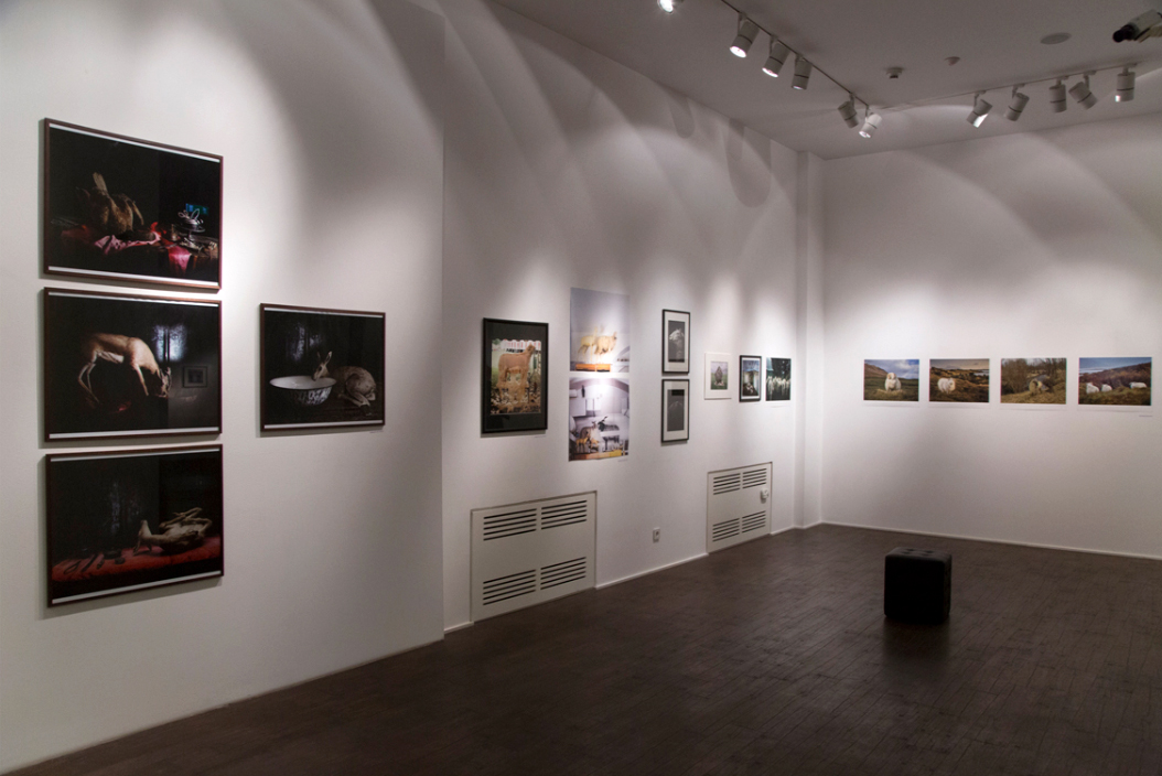 MOMA-GA.jpg