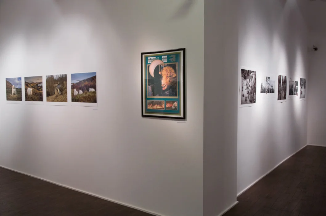 MOMA-GA2.jpg