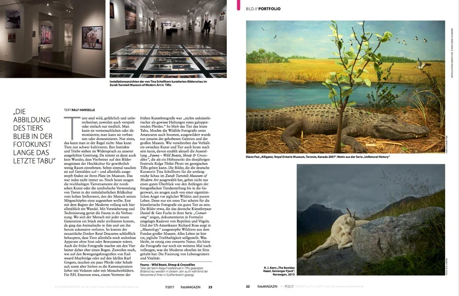 MOMA-Georgia.jpg