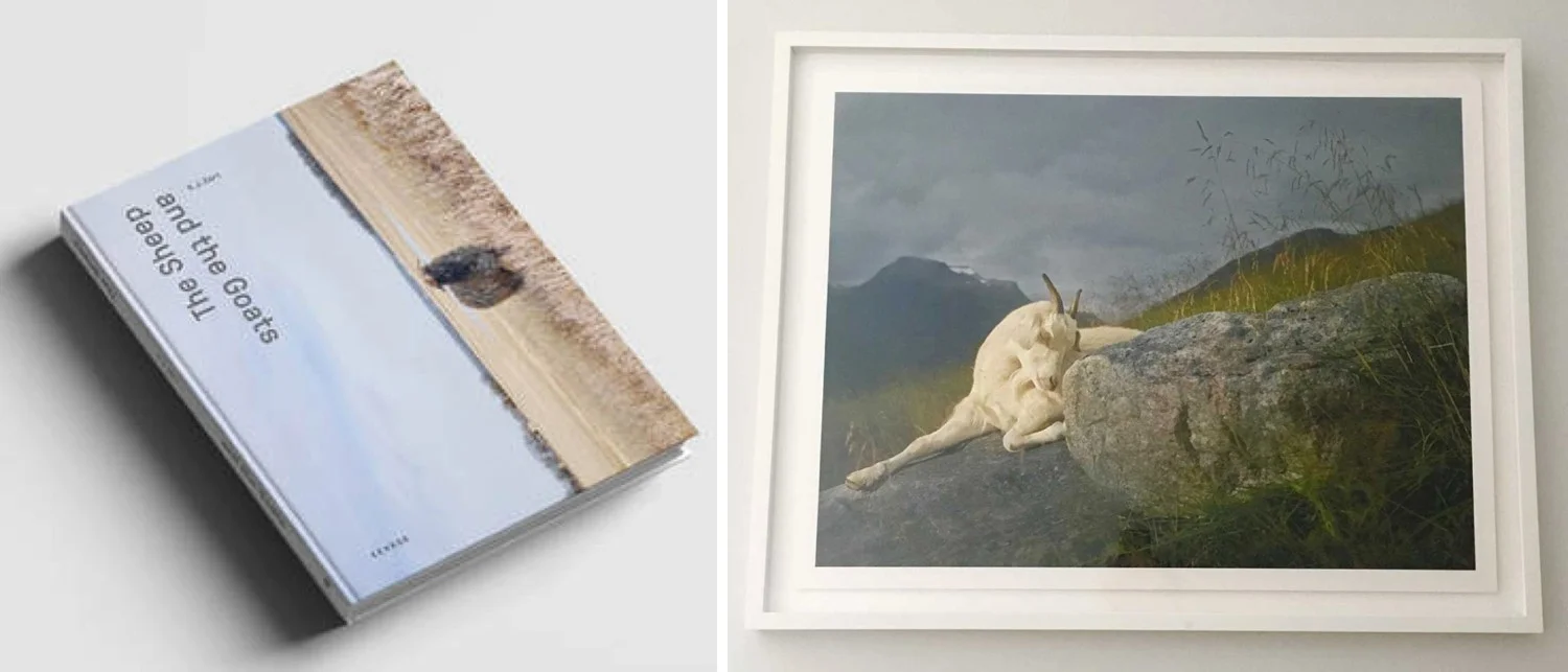 the-sheep-and-the-goats-001_2.jpg