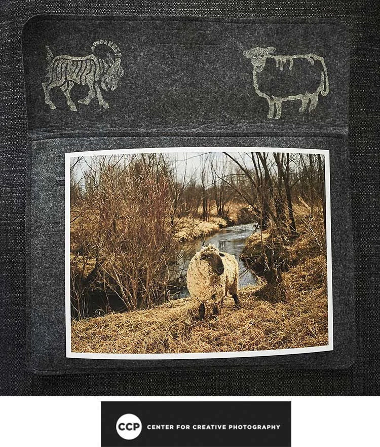 ccp-aquires-rj-kern-the-sheep-the-goats.jpg