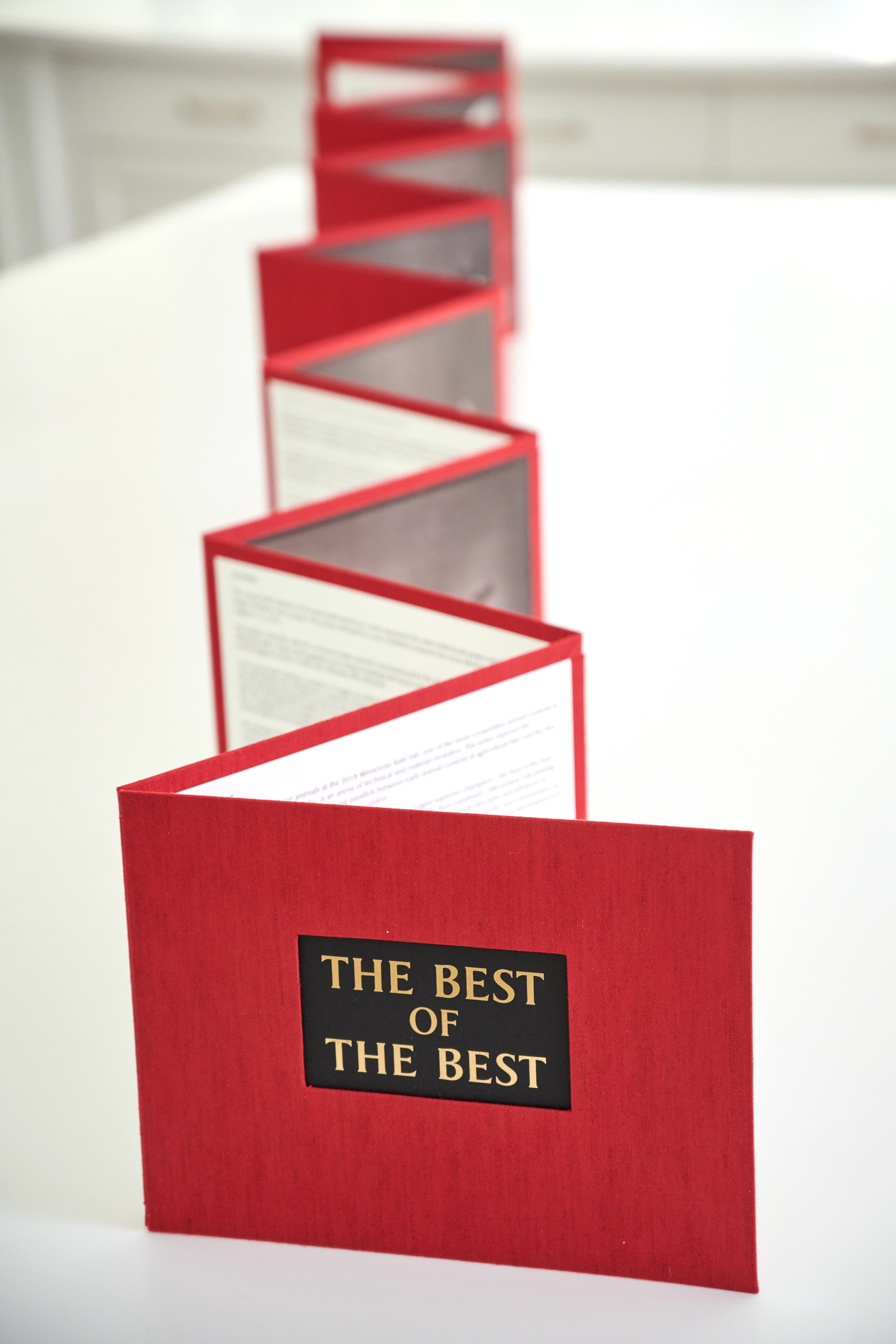 The_Best_of_the_Best_art_book_13.JPG
