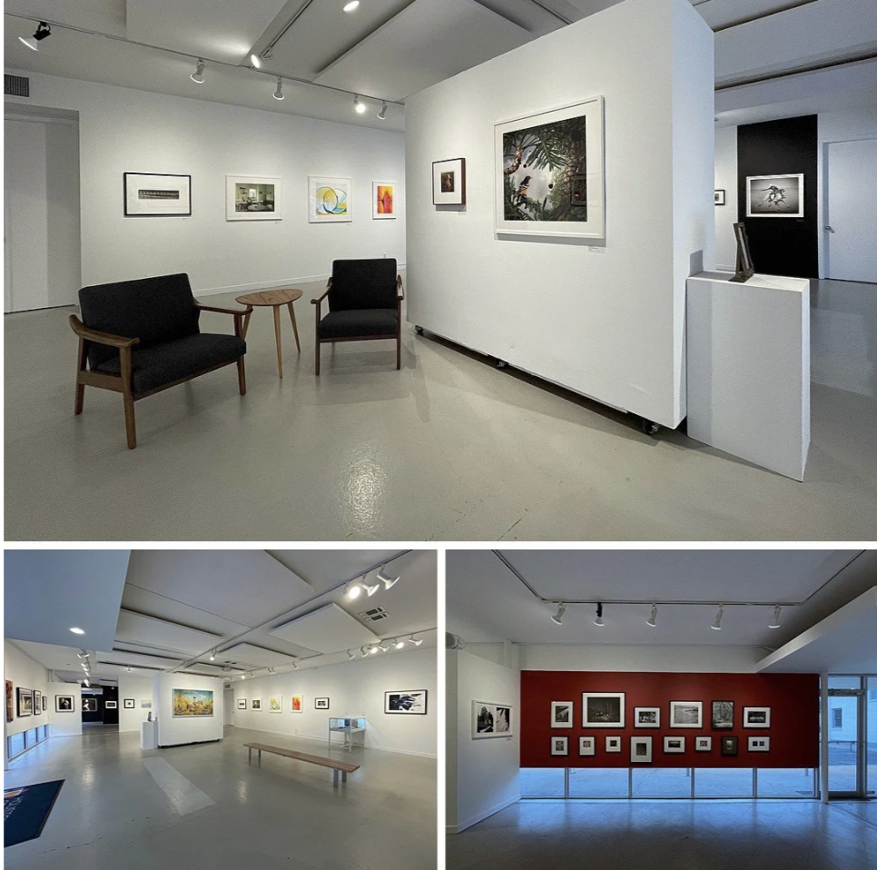 HCP Print Auction &amp; Gala exhibition