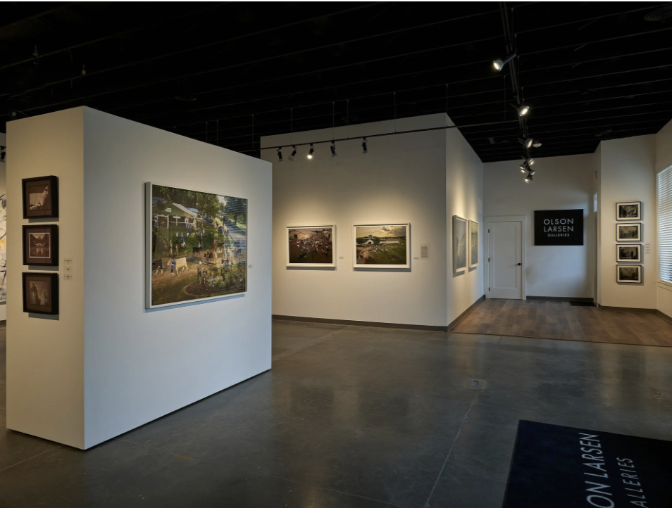 Solo Exhibition at Olson Larsen Galleries