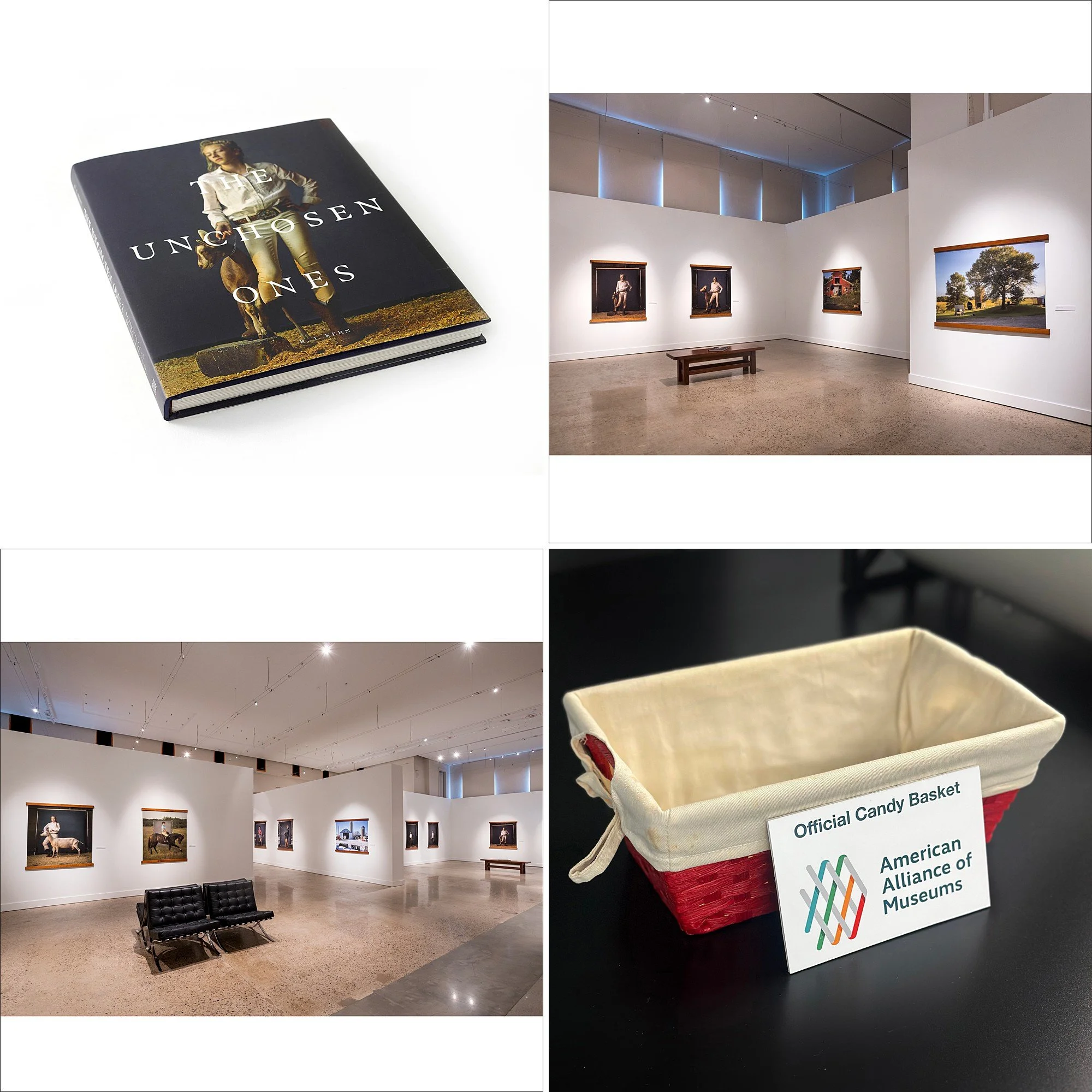 American Alliance for Museums&nbsp;| MuseumExpo Exhibitor 2026