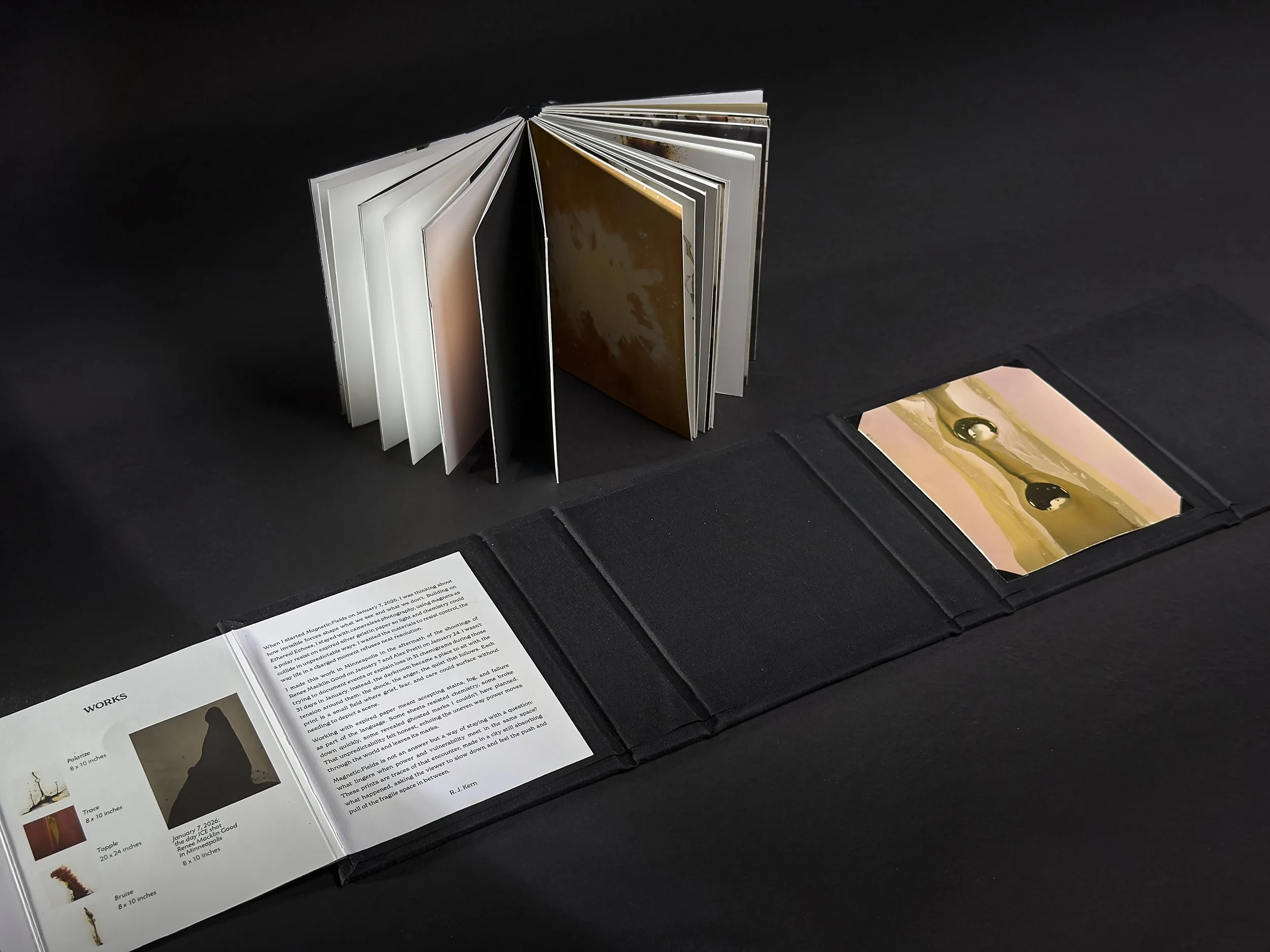 Announcing MAGNETIC:FIELDS