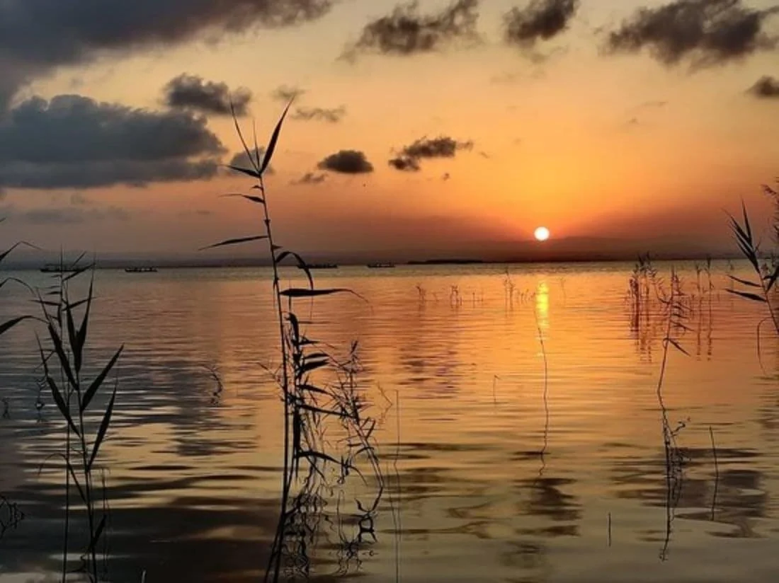 The Gospel is life anew