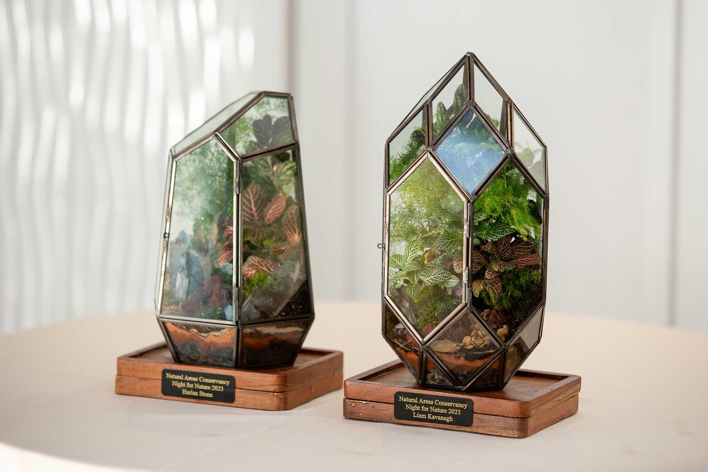  The Natural Areas Conservancy terrarium awards on display at their 'Night for Nature' gala, New York, NY 