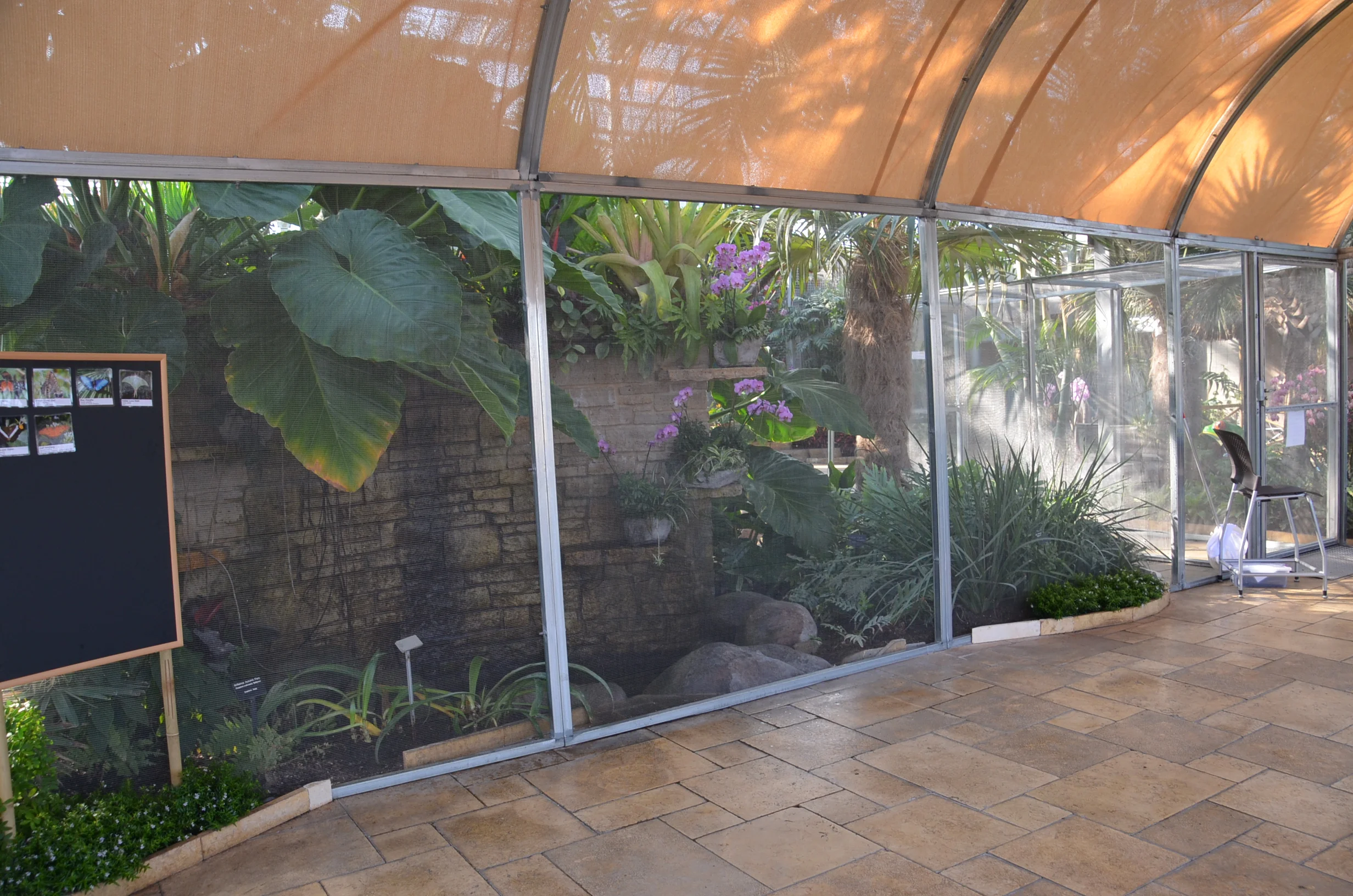 Butterfly Lab — Nicholas Conservatory & Gardens