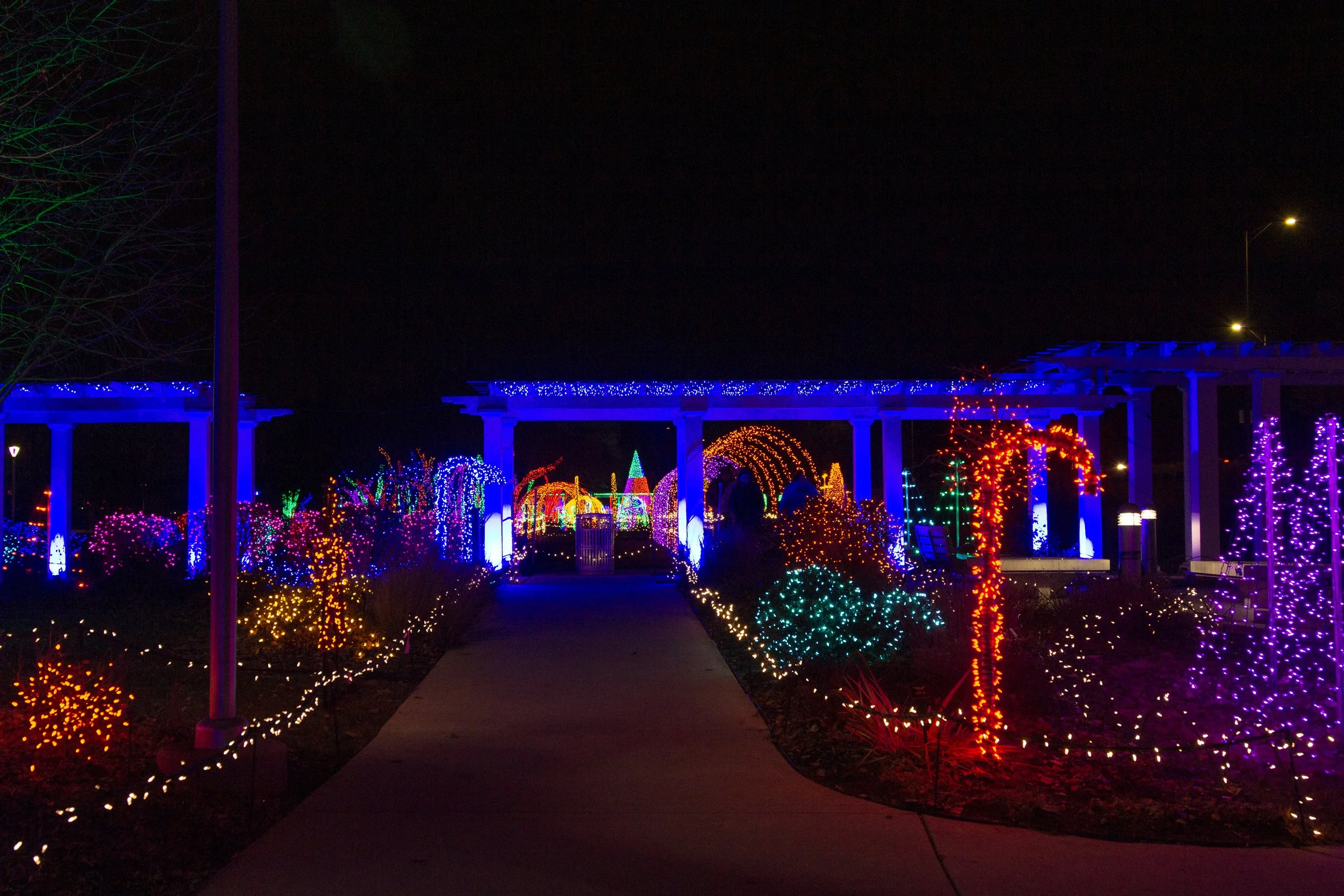 NCG_All_Aglow_2023-38.jpg