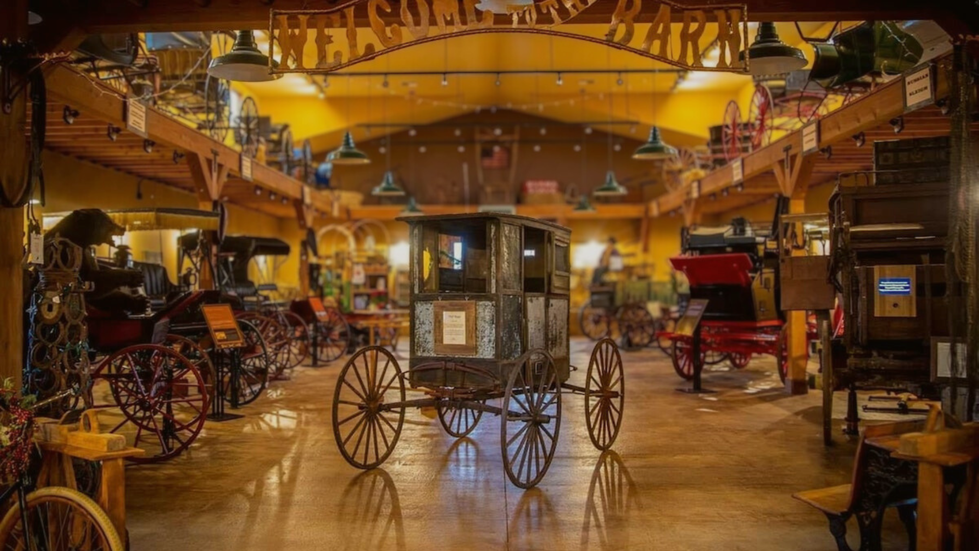 New Horizons Trip | NW Carriage Museum