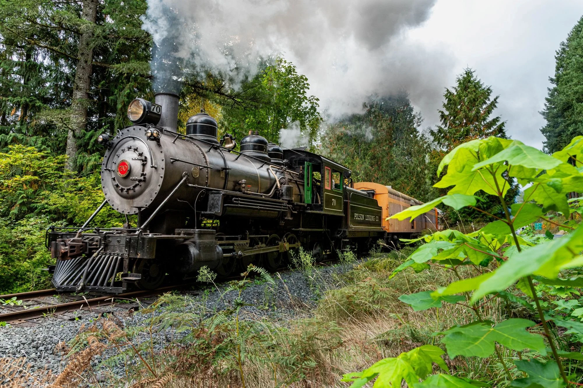 New Horizons Trip | Mount Rainier Scenic Railroad