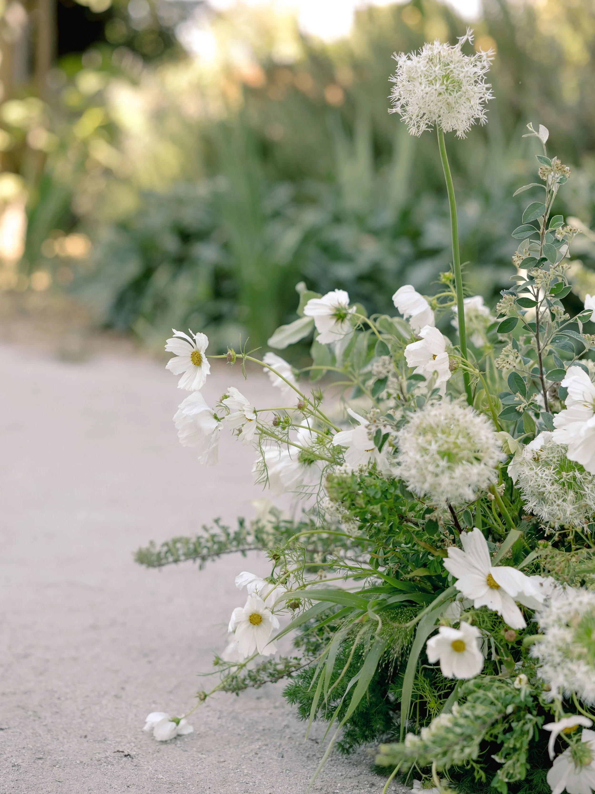 sarah+Daniel-park-winters-inn-wedding-napa-vallery-wedding-photographer-jessica-kay-060225-313.jpg
