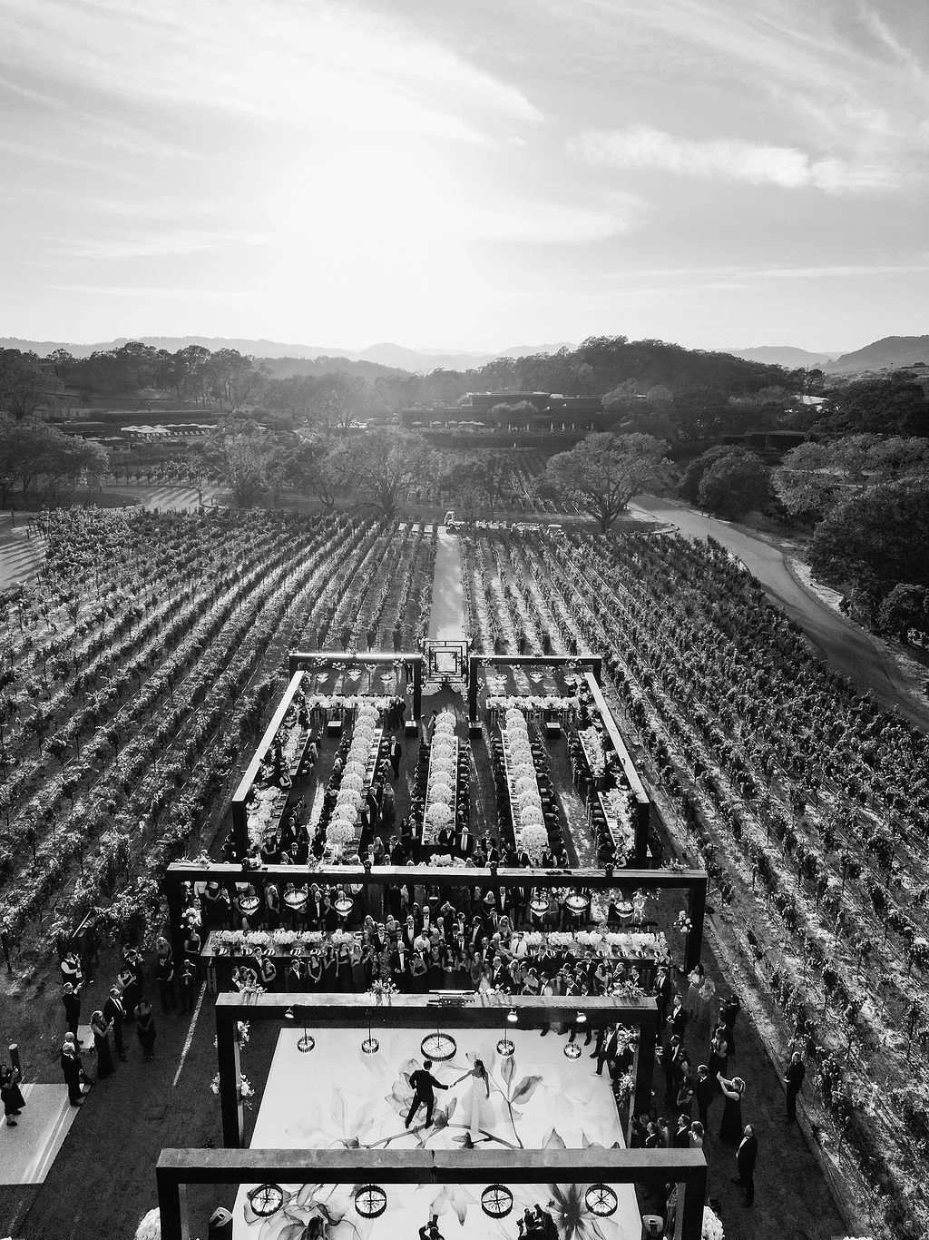 1245_DJI_0982.jpg