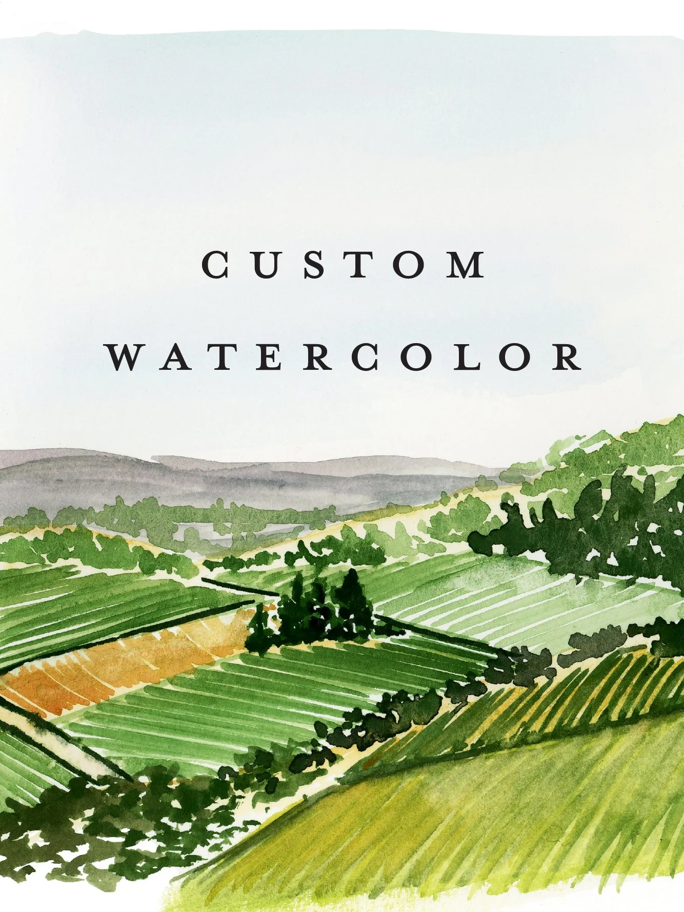 _shop-watercolor.jpg