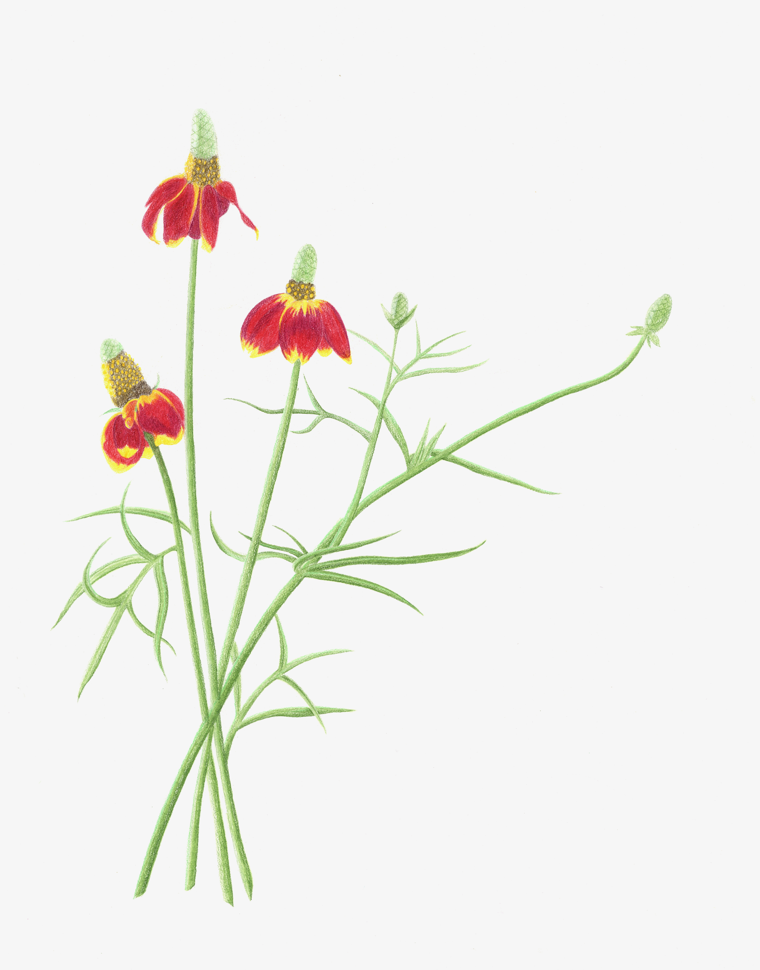Image 0024.png