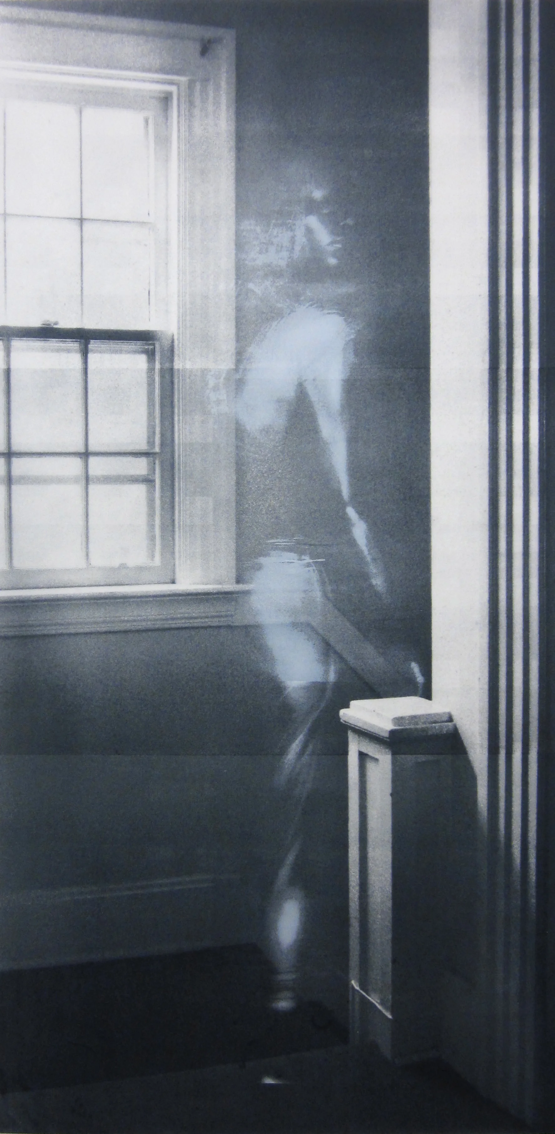 "Landing," Silkscreen, 84" x 42," 2014