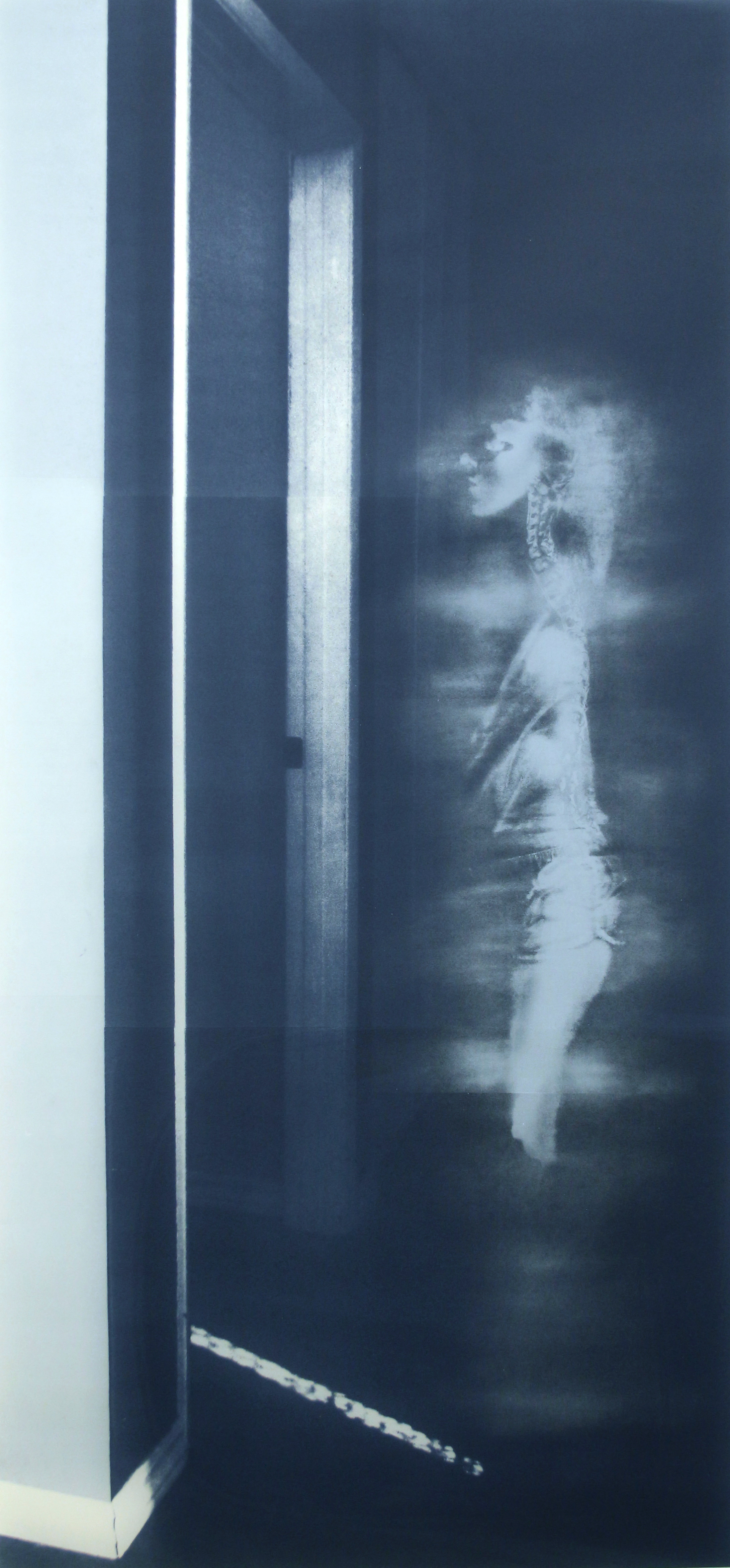  "Hallway," Silkscreen, 84" x 42," 2014 