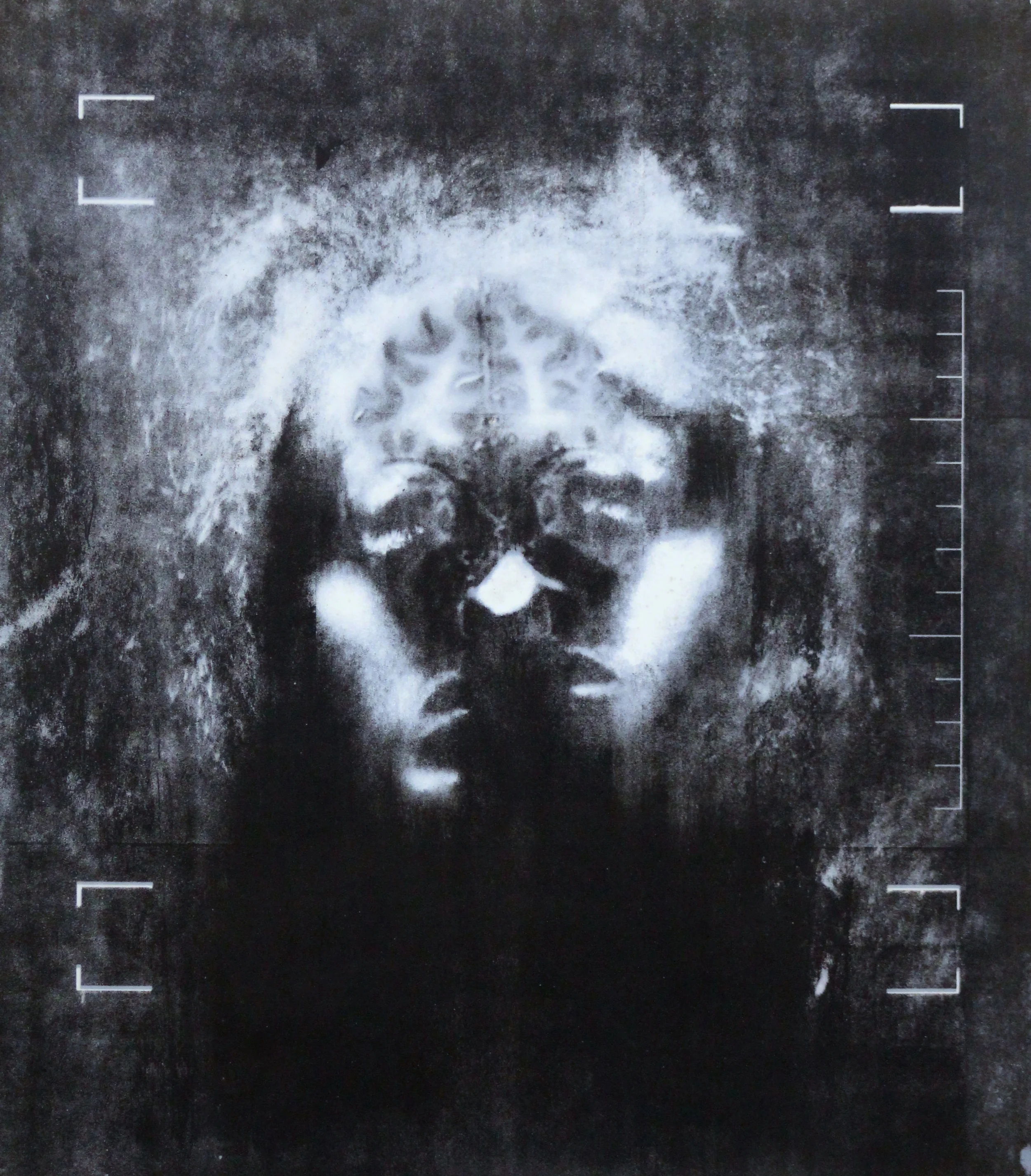 "Becoming Scanned," Stone lithography and silkscreen, 30" x 28," 2014